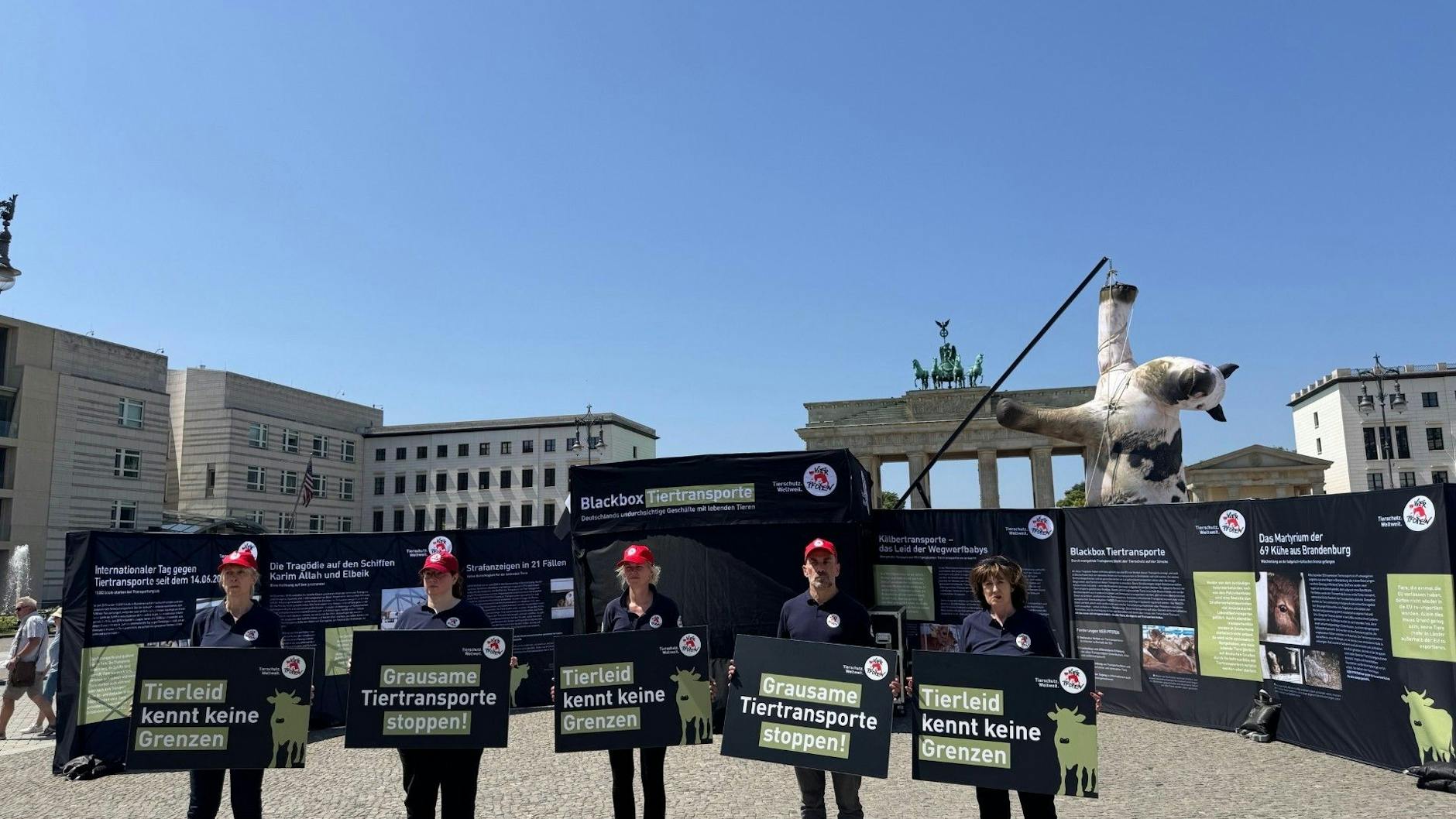 Samstag: Ein Foto von der Protestaktion mit Kran am Brandenburger Tor in Berlin.