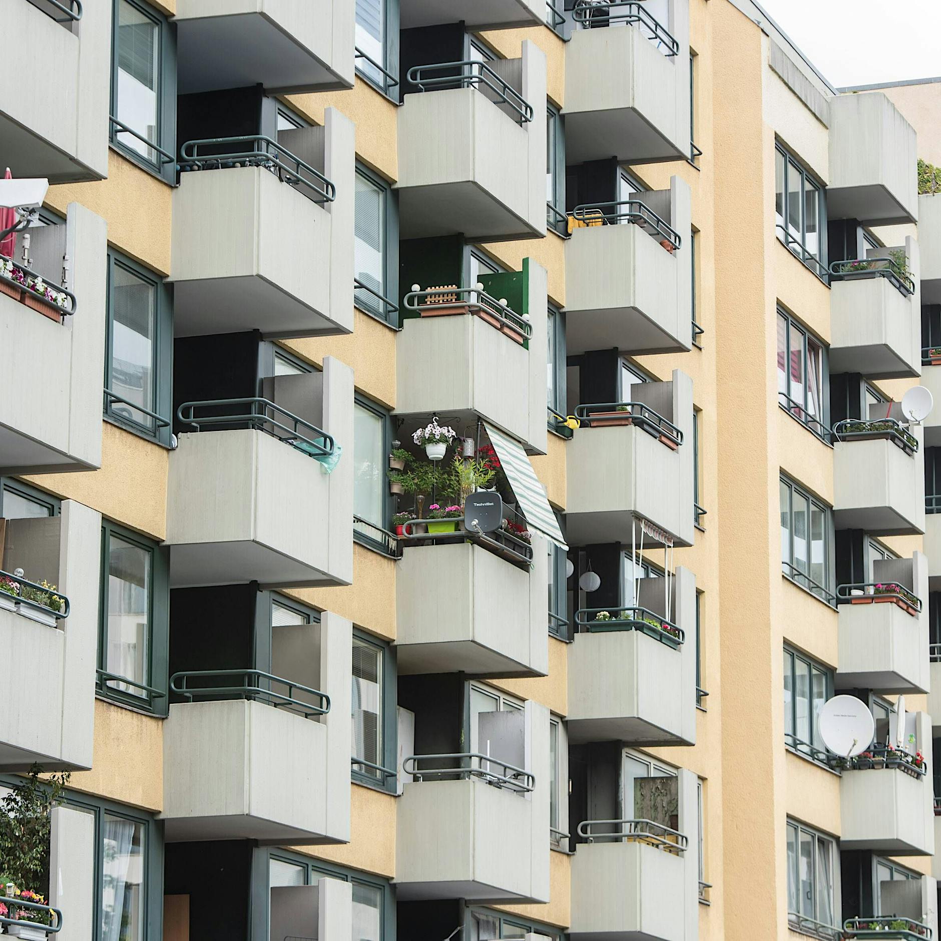 Reinickendorf startet Haushaltsbefragung für Milieuschutz am Letteplatz