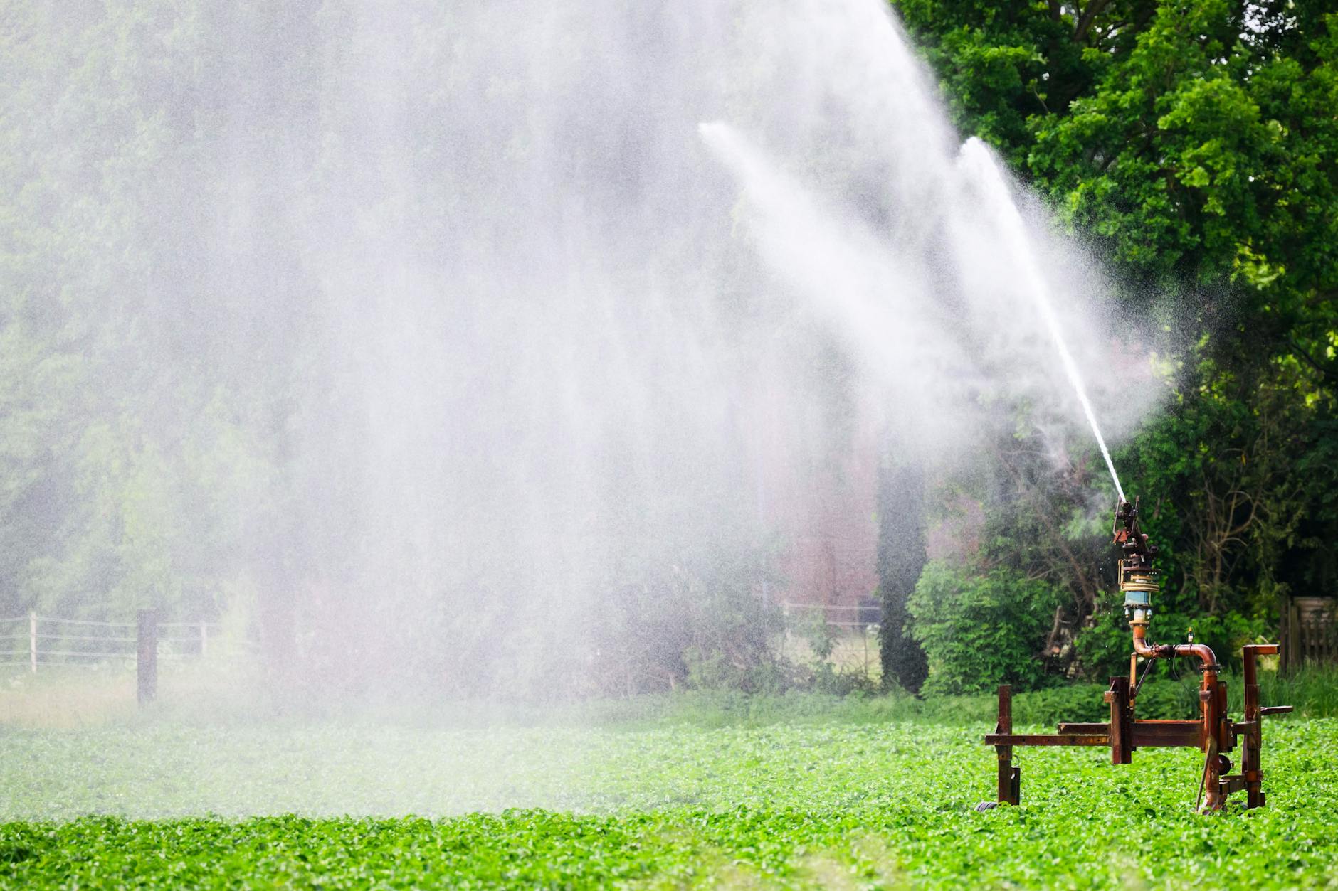 In der Hälfte aller deutscher Landkreise wird das Grundwasser knapp.