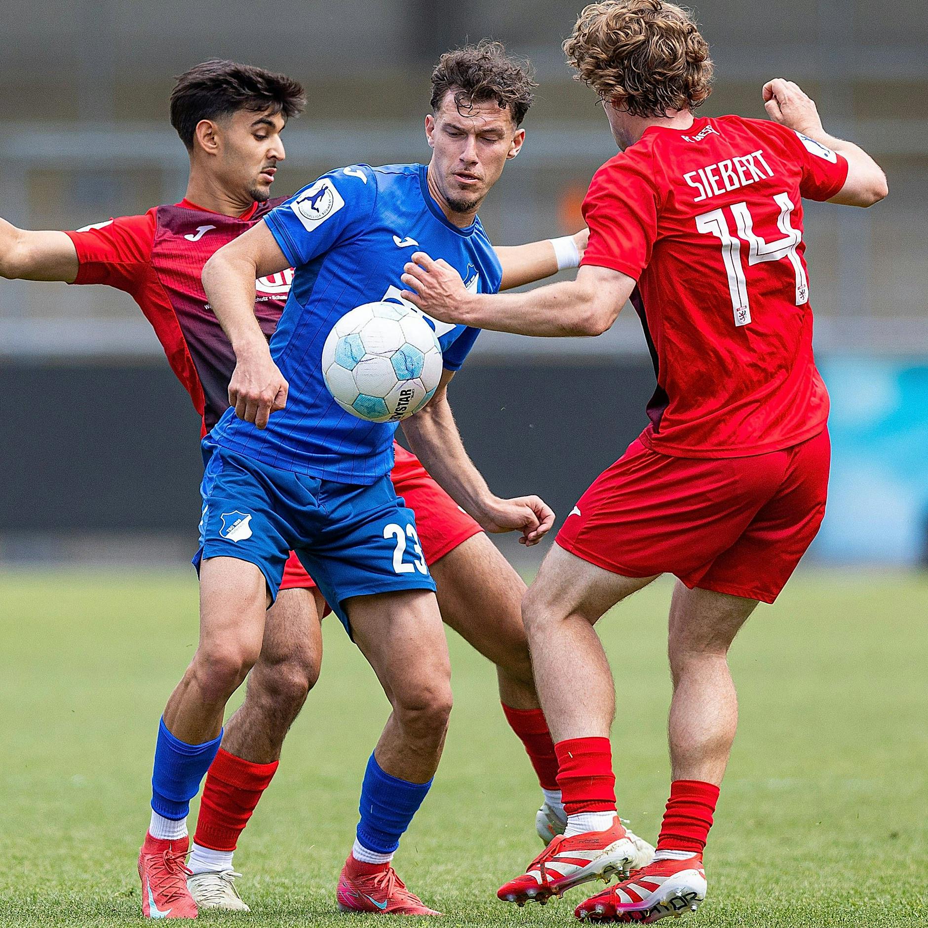 BFC Dynamo holt sich Verstärkung aus Hoffenheim und Heidenheim