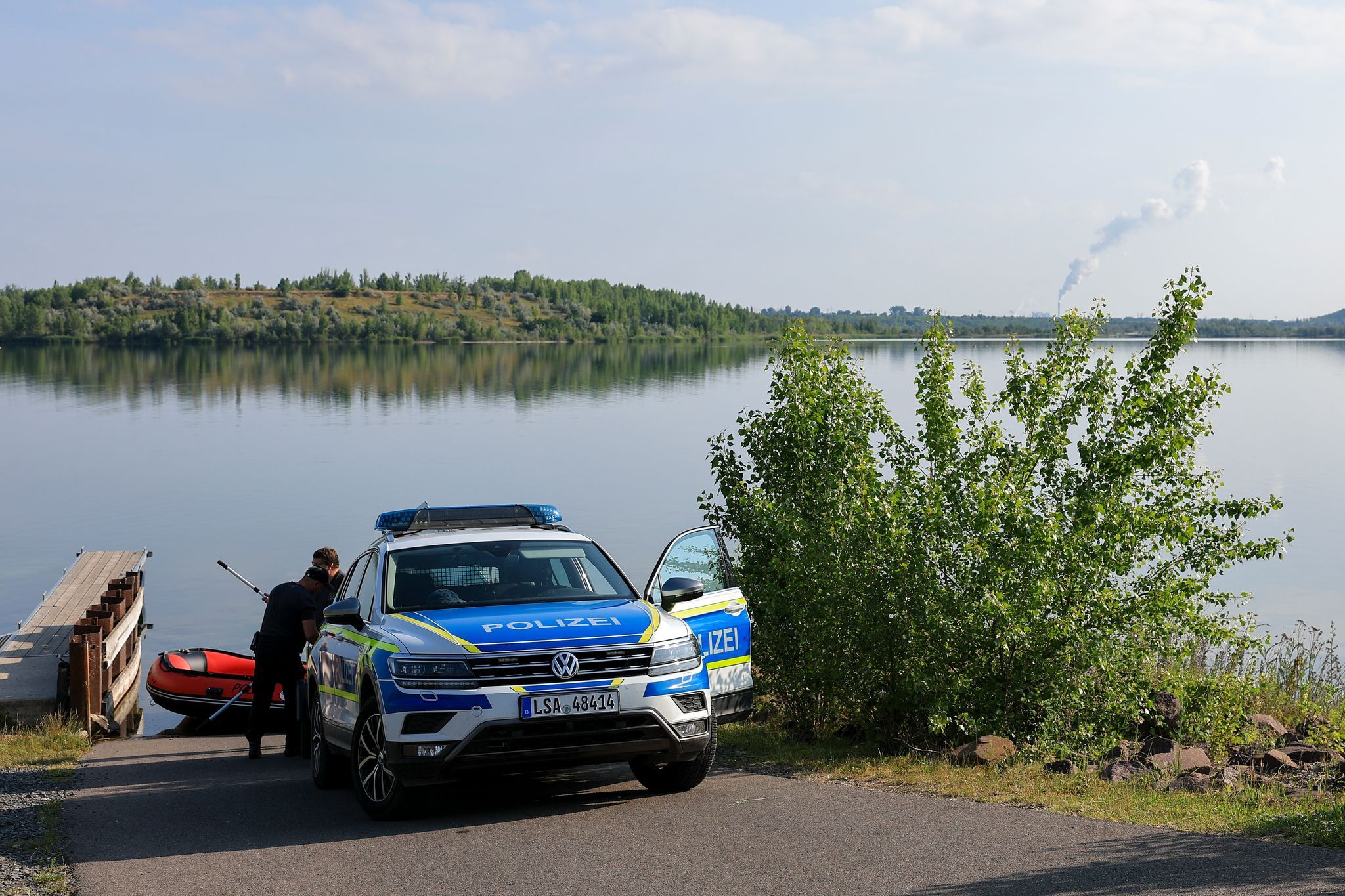 Sachsen-Anhalt: Ist die freilaufende Großkatze ein Puma?