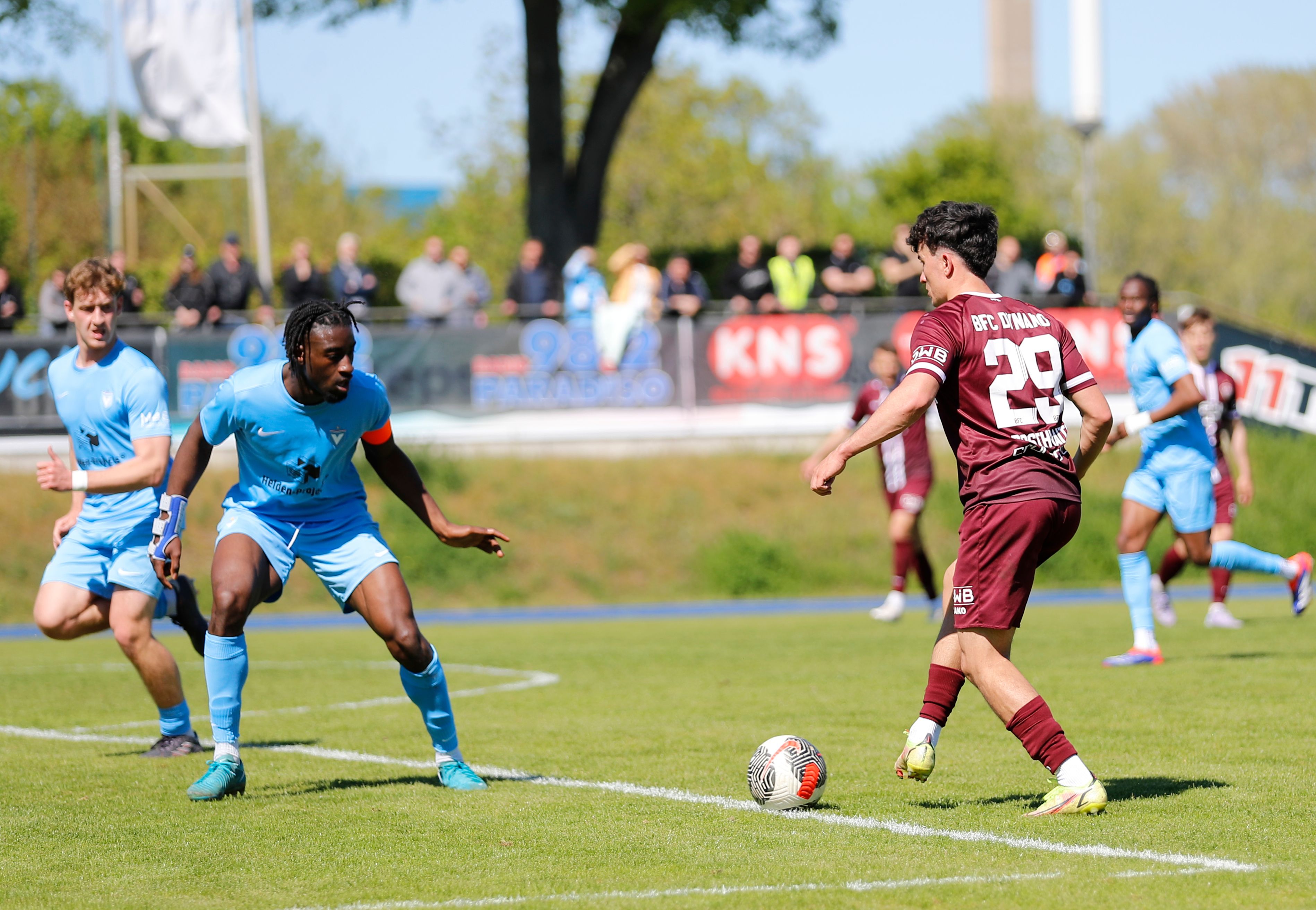 Image - BFC Dynamo schnappt sich erfahrenen Fachmann und einen Azubi