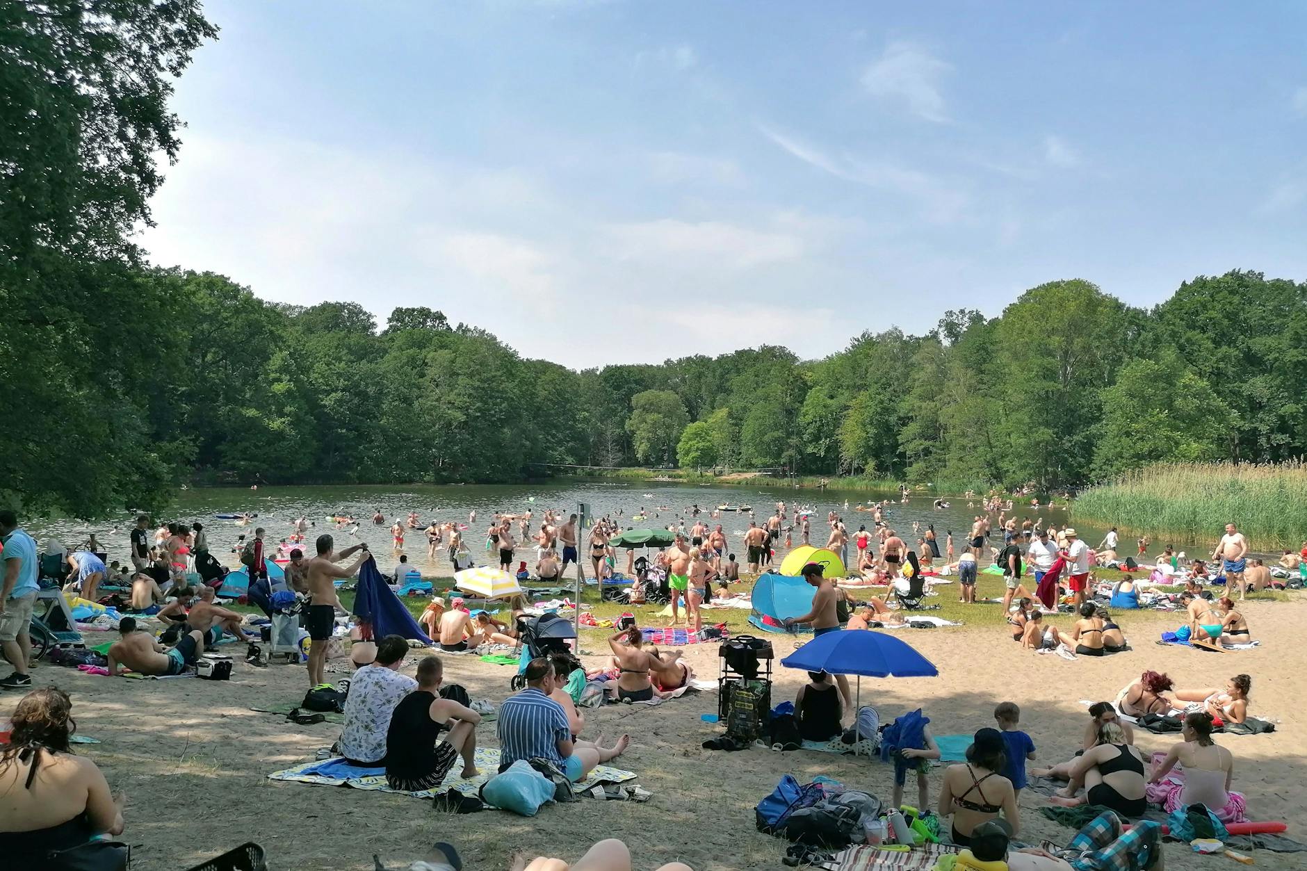 Das Strandbad Jungfernheide ist wegen eines starken Befalls des Eichenprozessionsspinners im Park vorerst geschlossen.