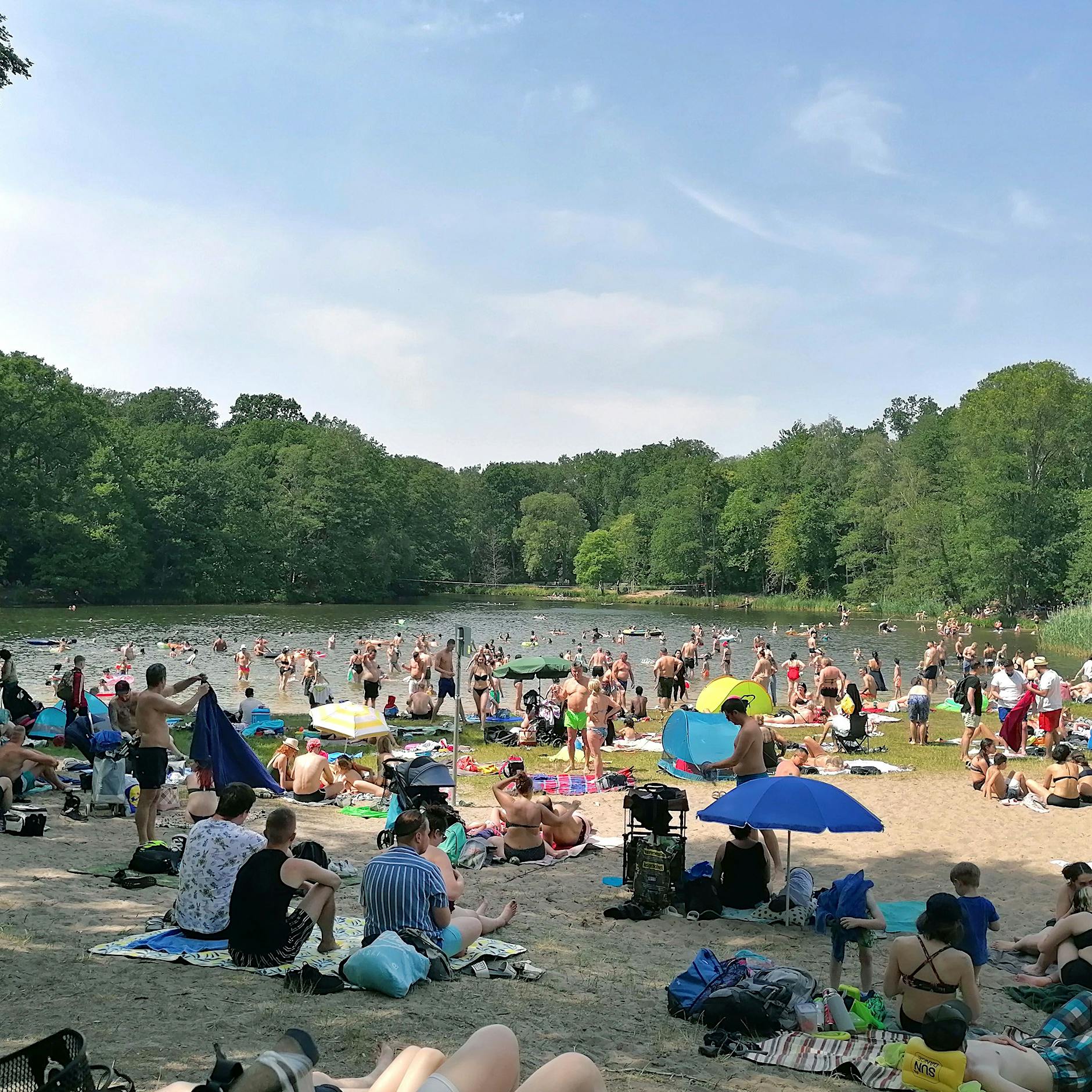 Strandbad Jungfernheide muss wegen Befall von Eichenprozessionsspinner vorerst schließen