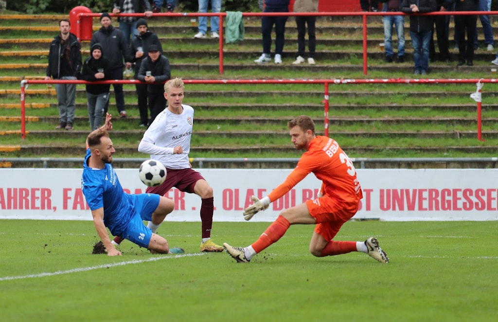 Neuzug-nge-12-und-13-BFC-Dynamo-holt-Abwehrchef-und-Nummer-1-Torwart