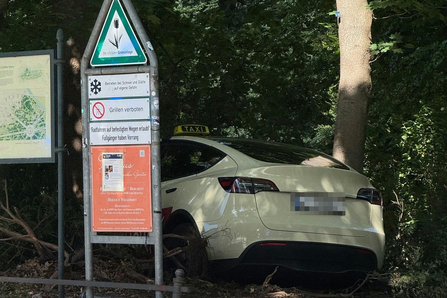Ein Taxi kam von der Straße ab und fuhr gegen einen Baum.