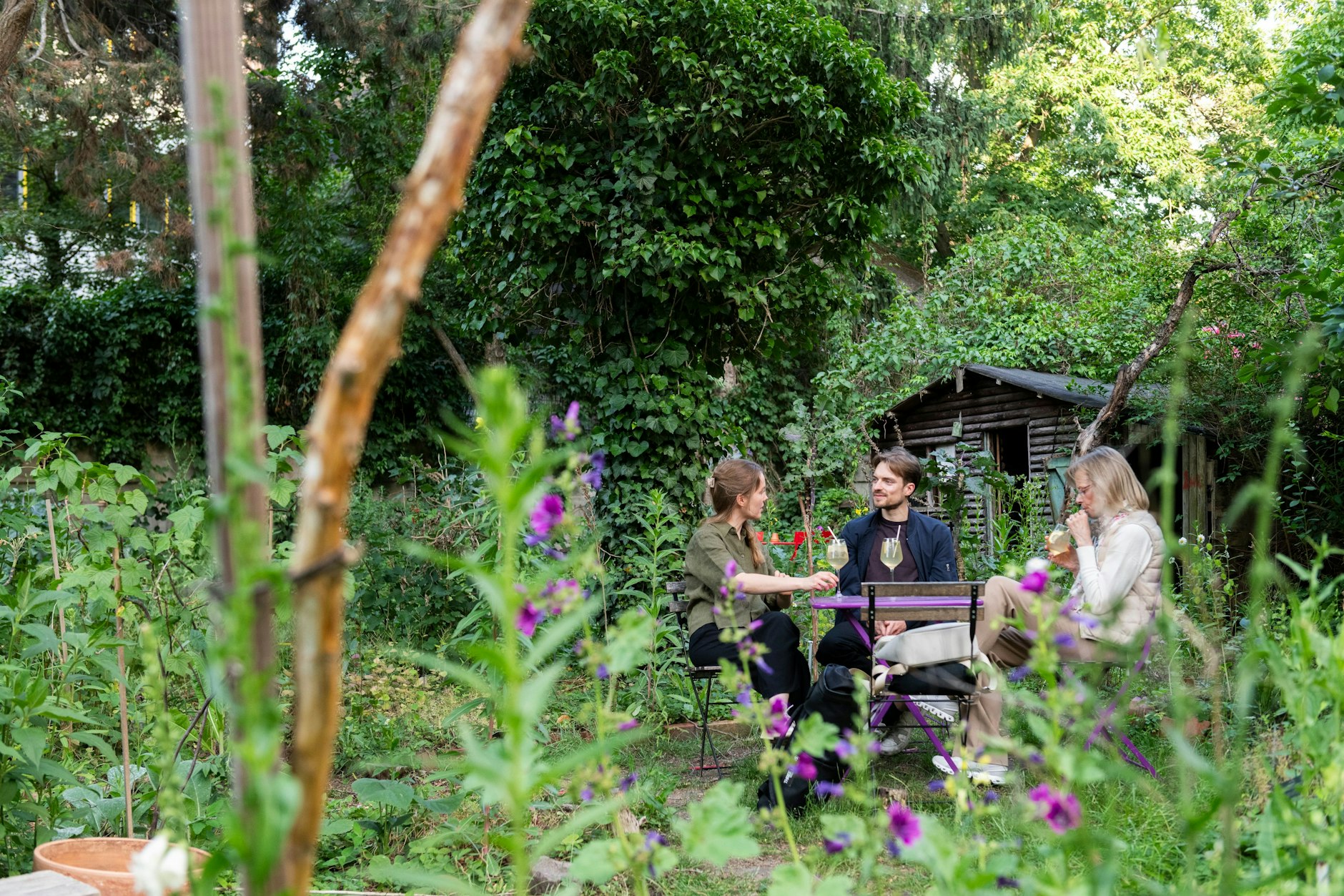 So idyllisch kann Neukölln sein: ein Juniabend im Café Botanico