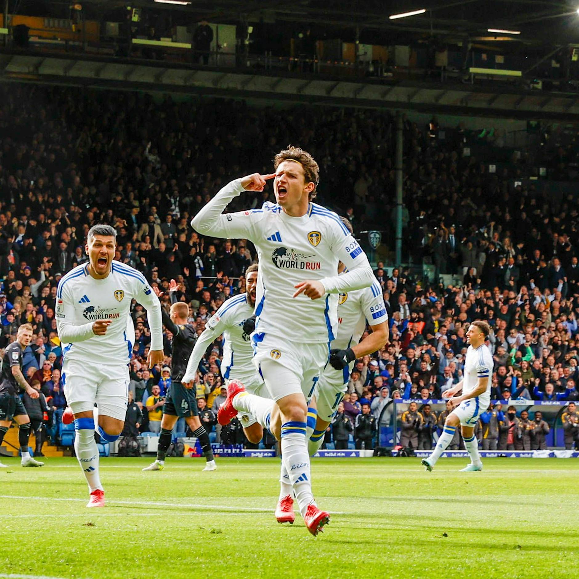 Achtung, 1. FC Union: Leeds will Brenden Aaronson loswerden!