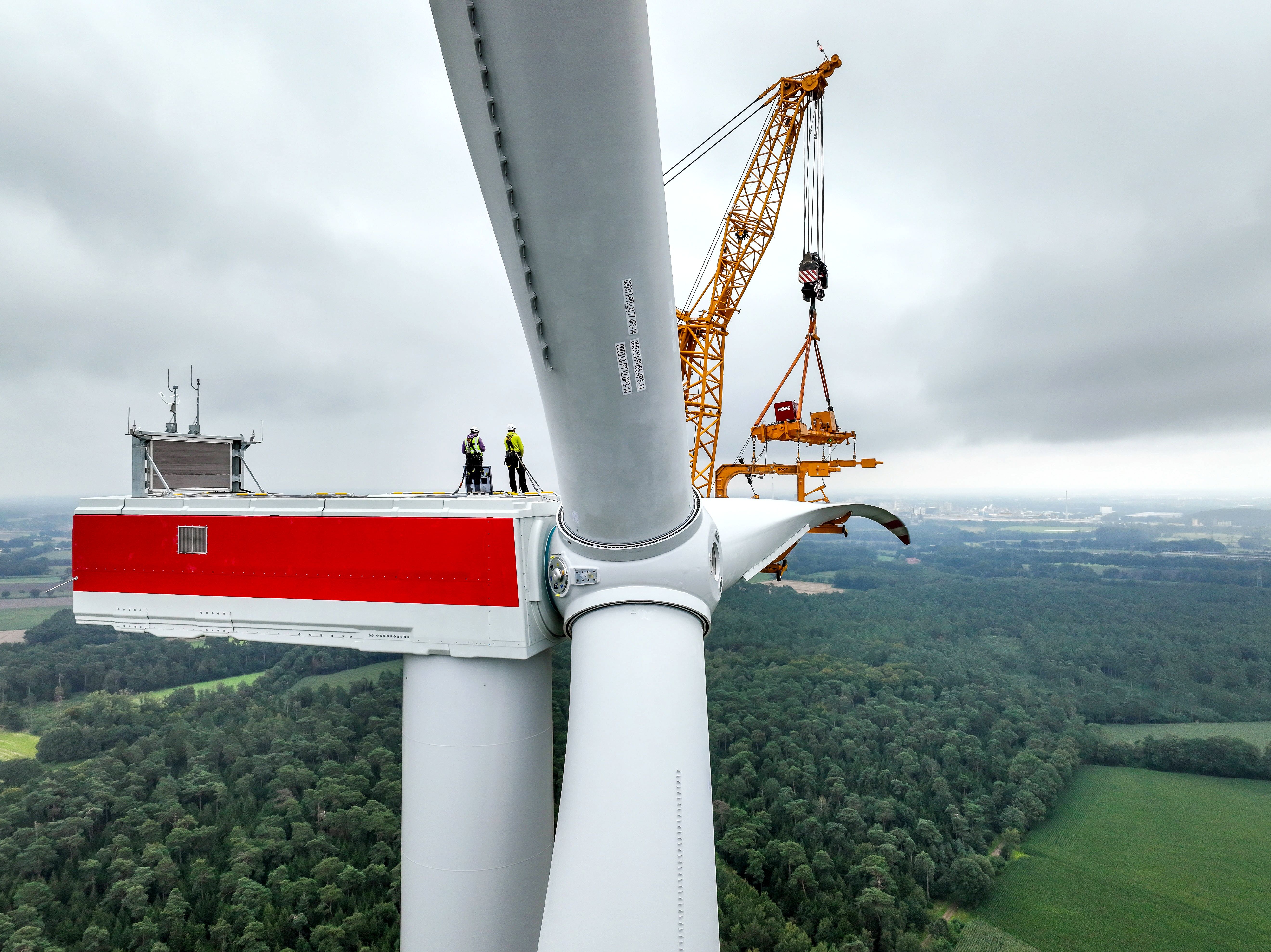 Nach Bericht der Berliner Zeitung: Windräder im Wald und die Brandmauer gegen die AfD