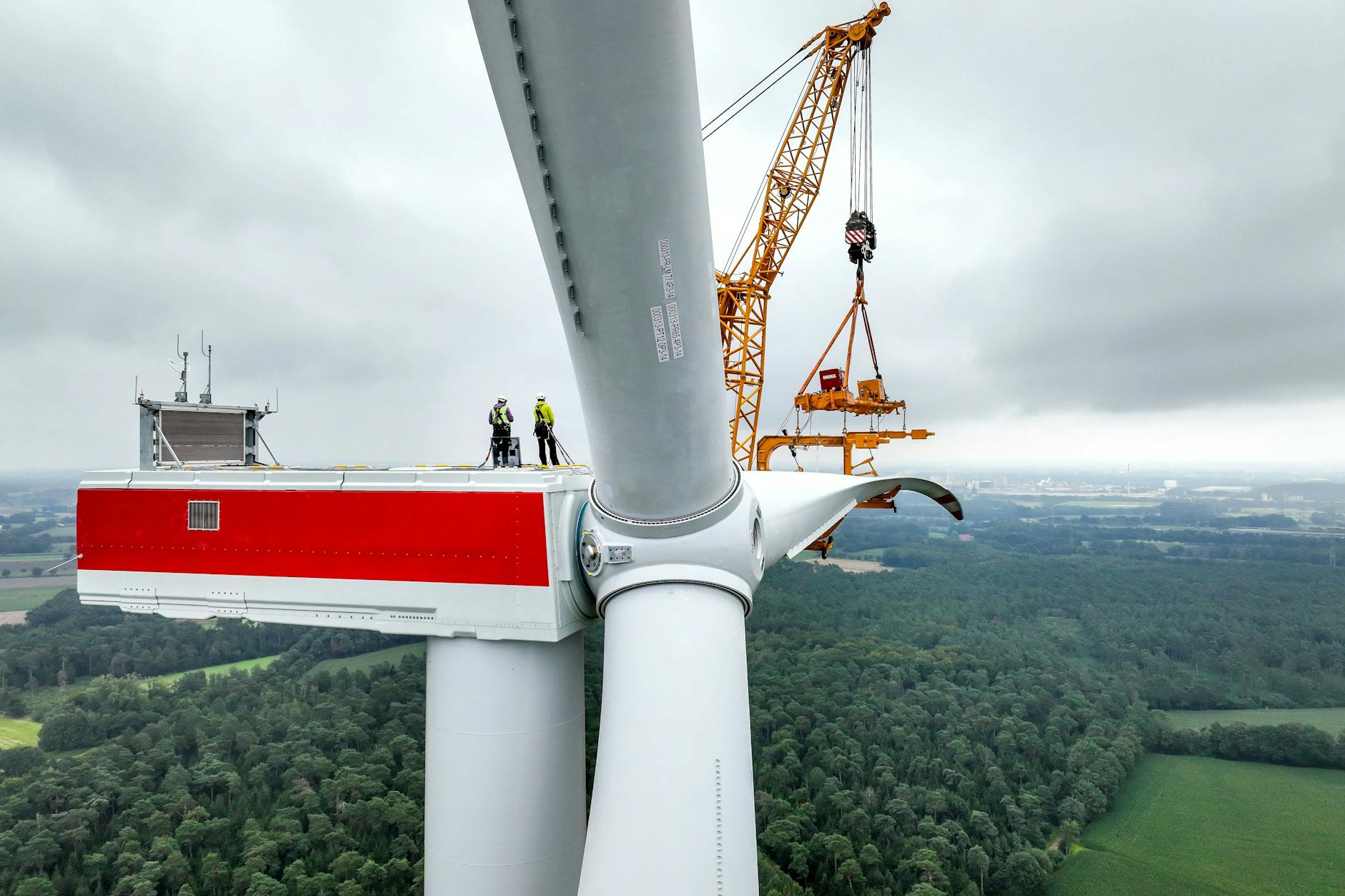 Die Berliner Zeitung bringt mit ihrer Recherche Bewegung in die politische Debatte um Windkraft im Wald.