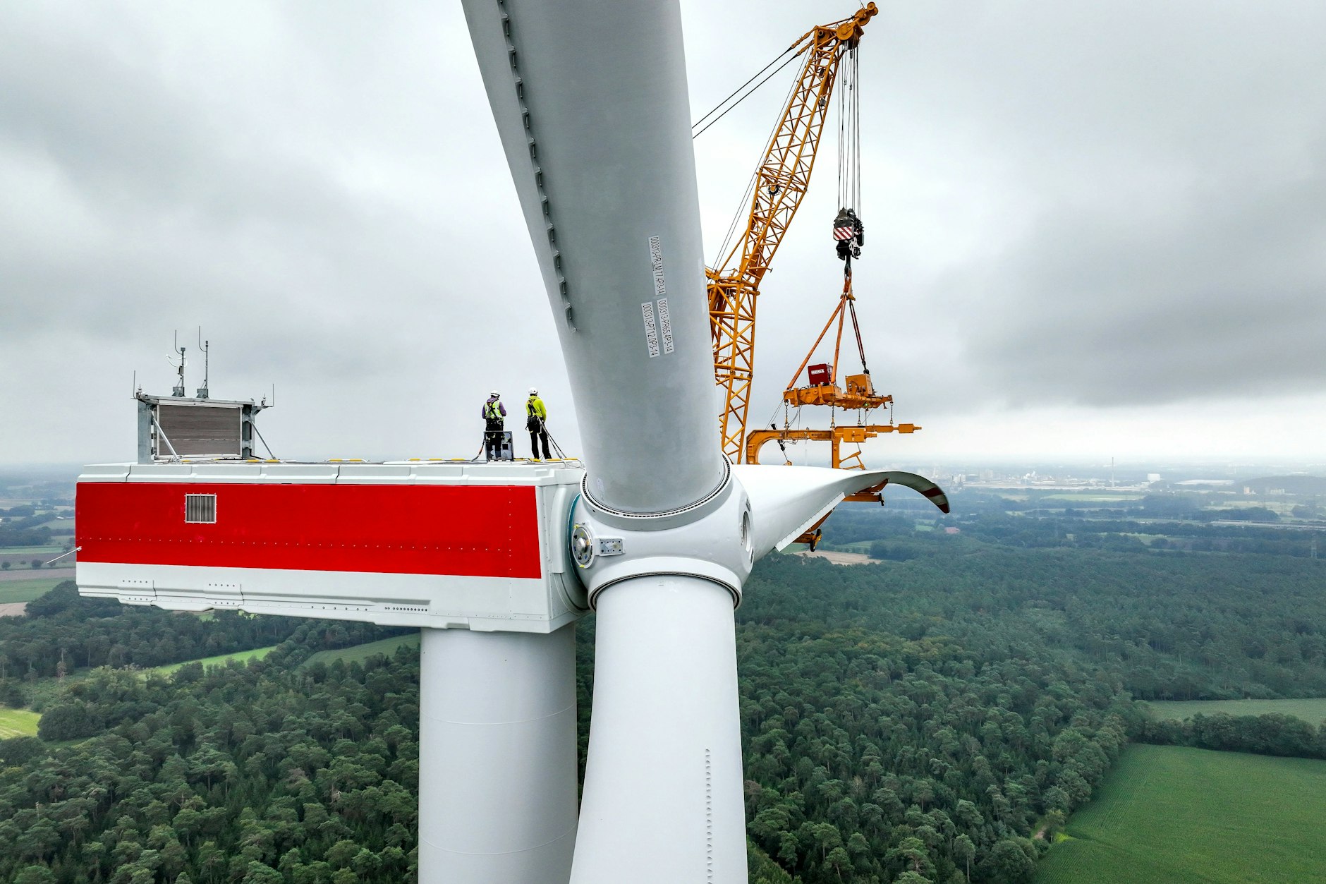 Die Berliner Zeitung bringt mit ihrer Recherche Bewegung in die politische Debatte um Windkraft im Wald.