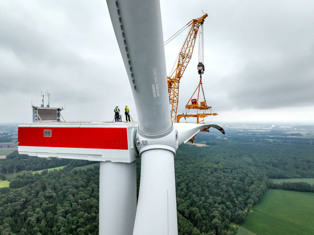 Kommentar: Windräder im Wald und die Brandmauer gegen die AfD
