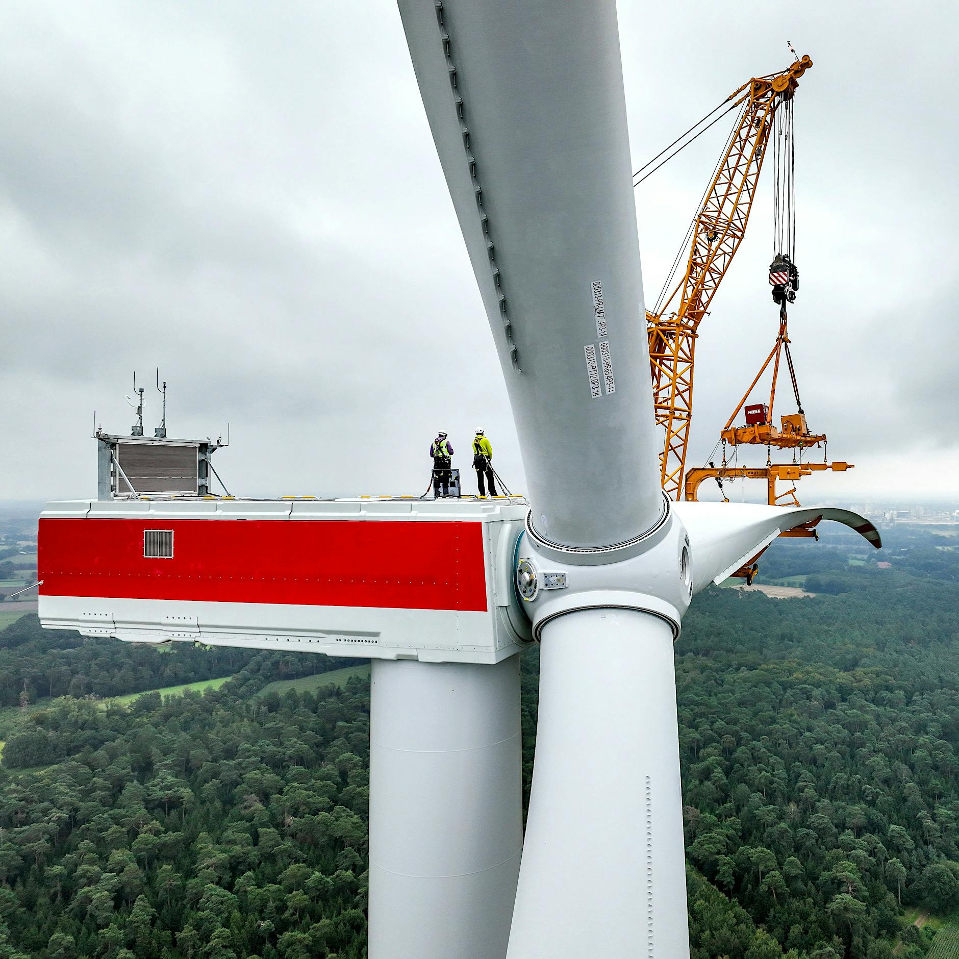 Nach Bericht der Berliner Zeitung: Windräder im Wald und die Brandmauer gegen die AfD