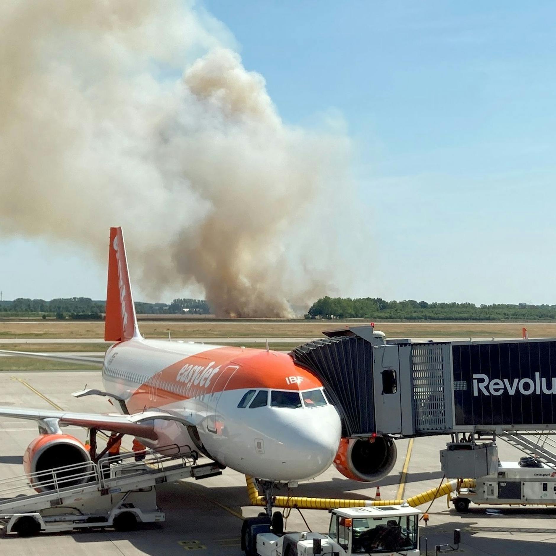 Image - Große Rauchwolke: Getreidefeld nahe Flughafen BER in Flammen