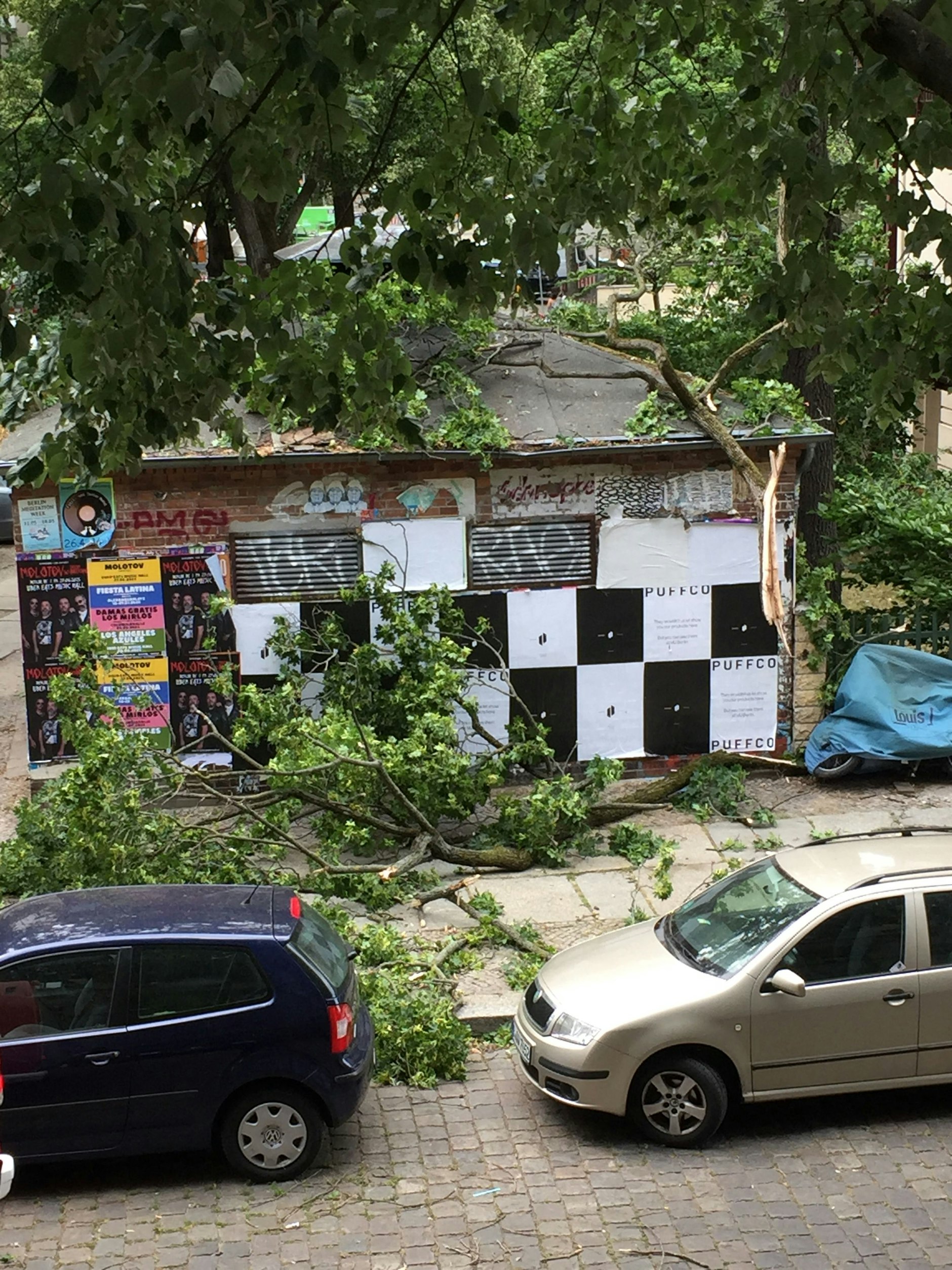 Dieser megaschwere Ast krachte im Sturm in Friedrichshain auf den Gehweg.
