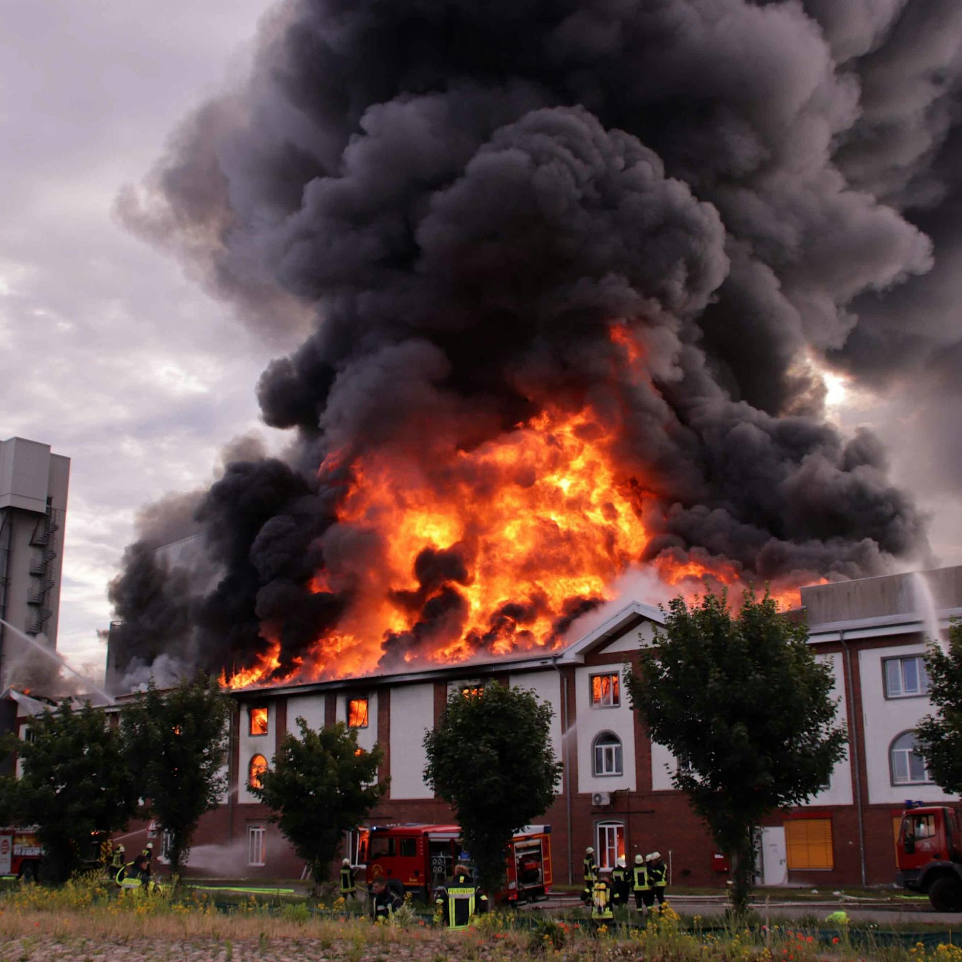 Flammendes Inferno: Haferflocken-Fabrik brennt ab – zwei Verletzte