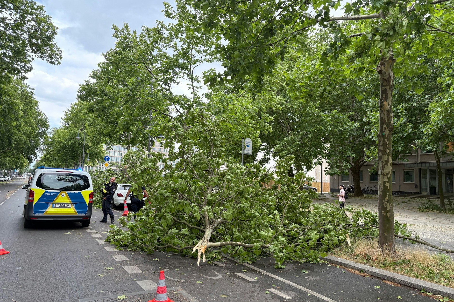 Sturmschäden in Berlin Mitte