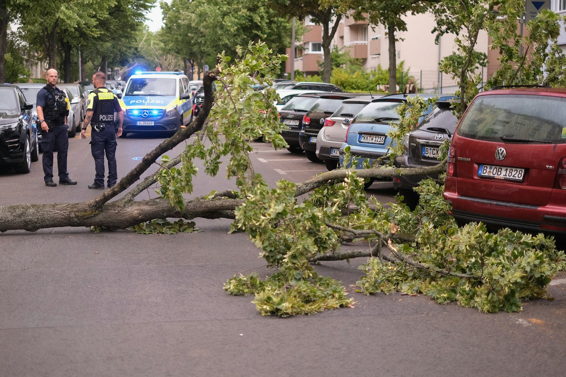 Schaden durch Sturmtief Ziros in der Prinzregentenstraße
