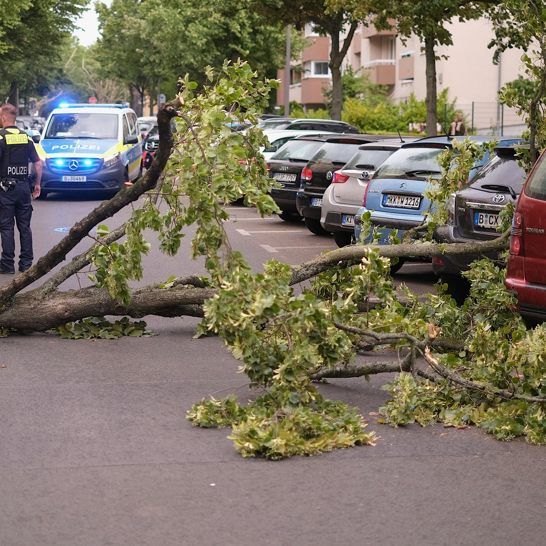 Mindestens zwei Todesopfer: So wütete Sturmtief Ziros über Berlin und Brandenburg