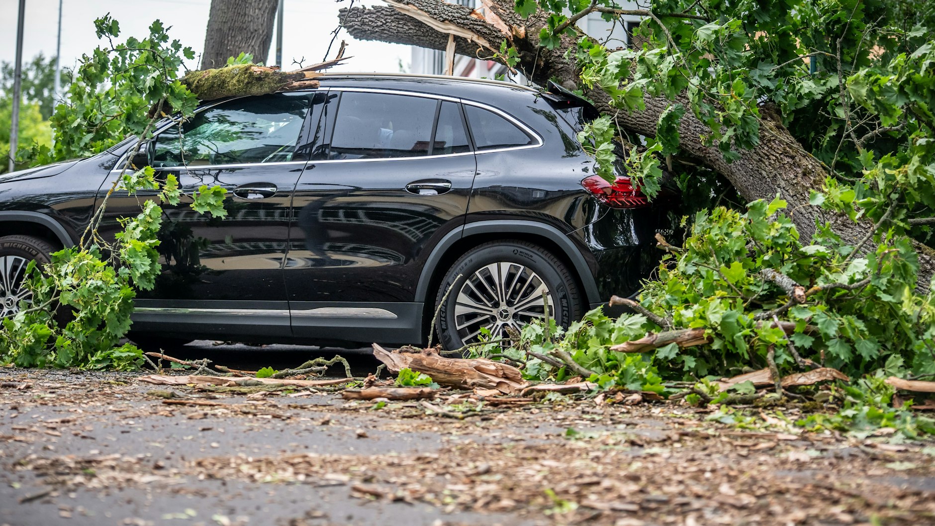 Ein vom Sturm abgerissener Baum liegt auf einem Auto in der Trabener Straße im Westen von Berlin.
