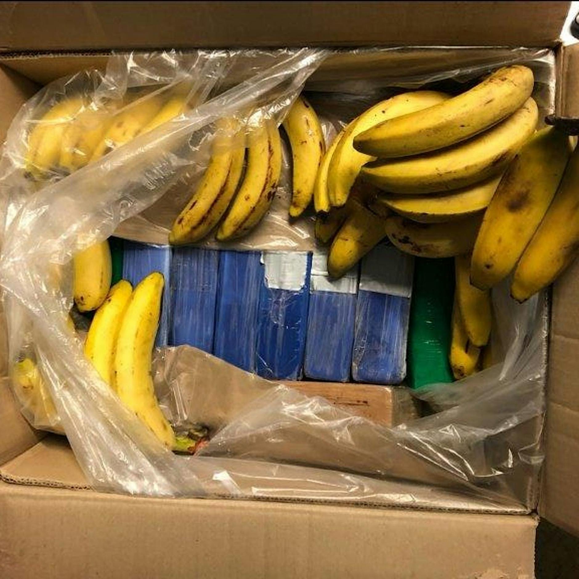 Exklusiv: Mitarbeiter finden 300 Kilo Kokain in Supermärkten Berlins und Brandenburgs