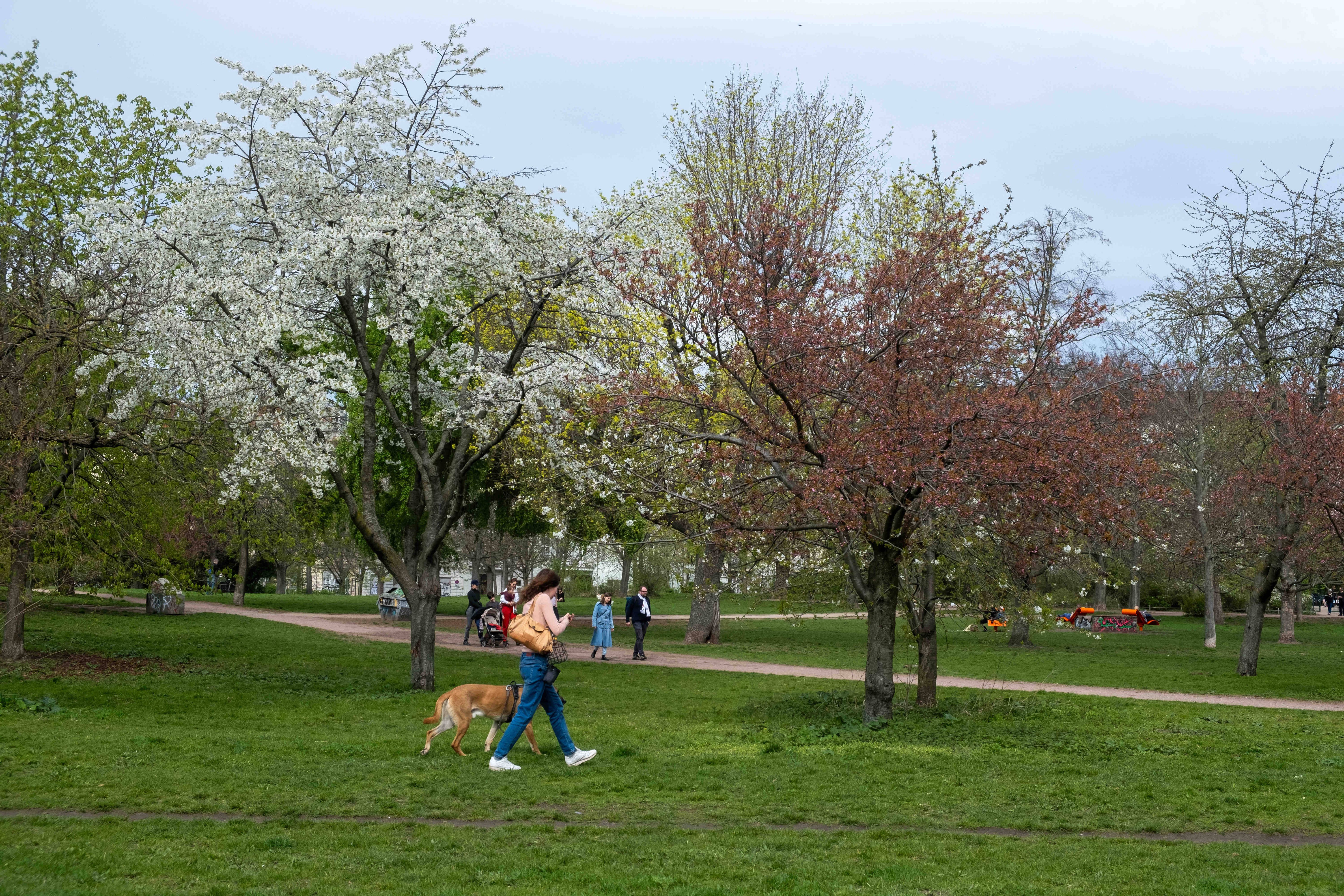 Pankow: Neue Sport- und Erholungsorte am Mauerpark fertiggestellt
