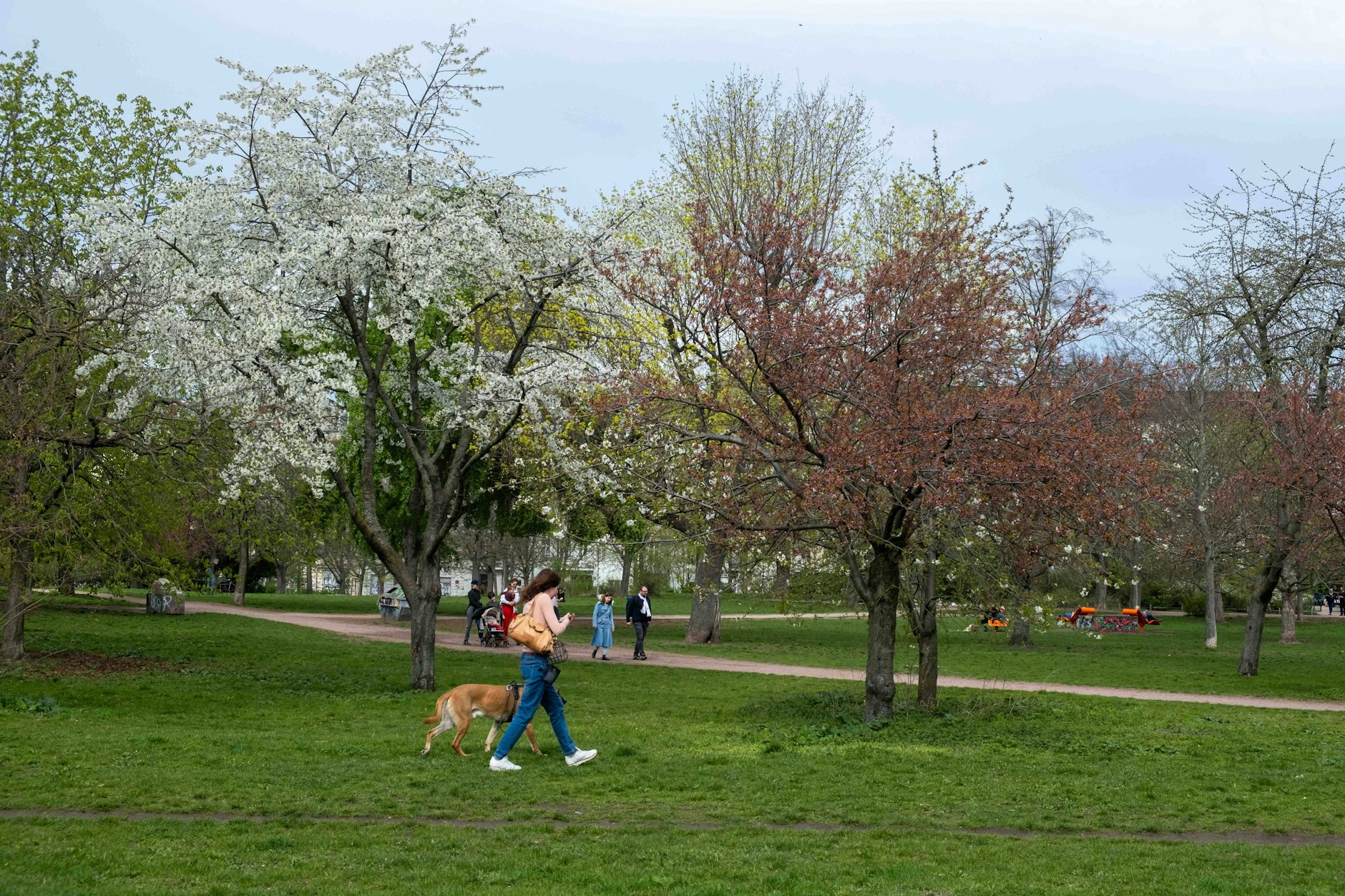 Pankow: Der Falkplatz am Mauerpark wird umgestaltet.