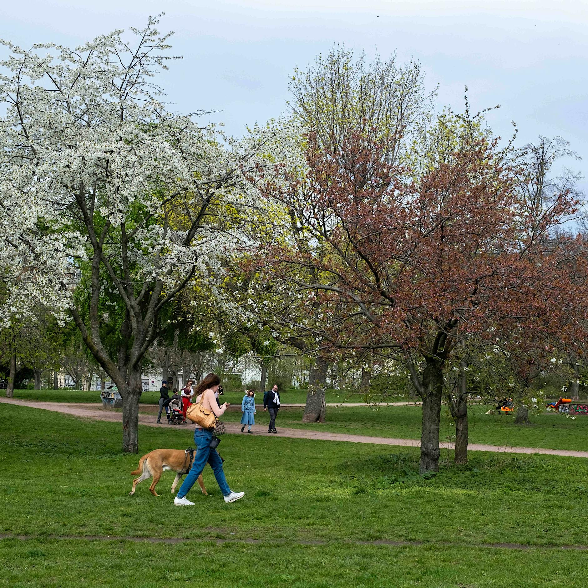 Pankow: Neue Sport- und Erholungsorte am Mauerpark fertiggestellt