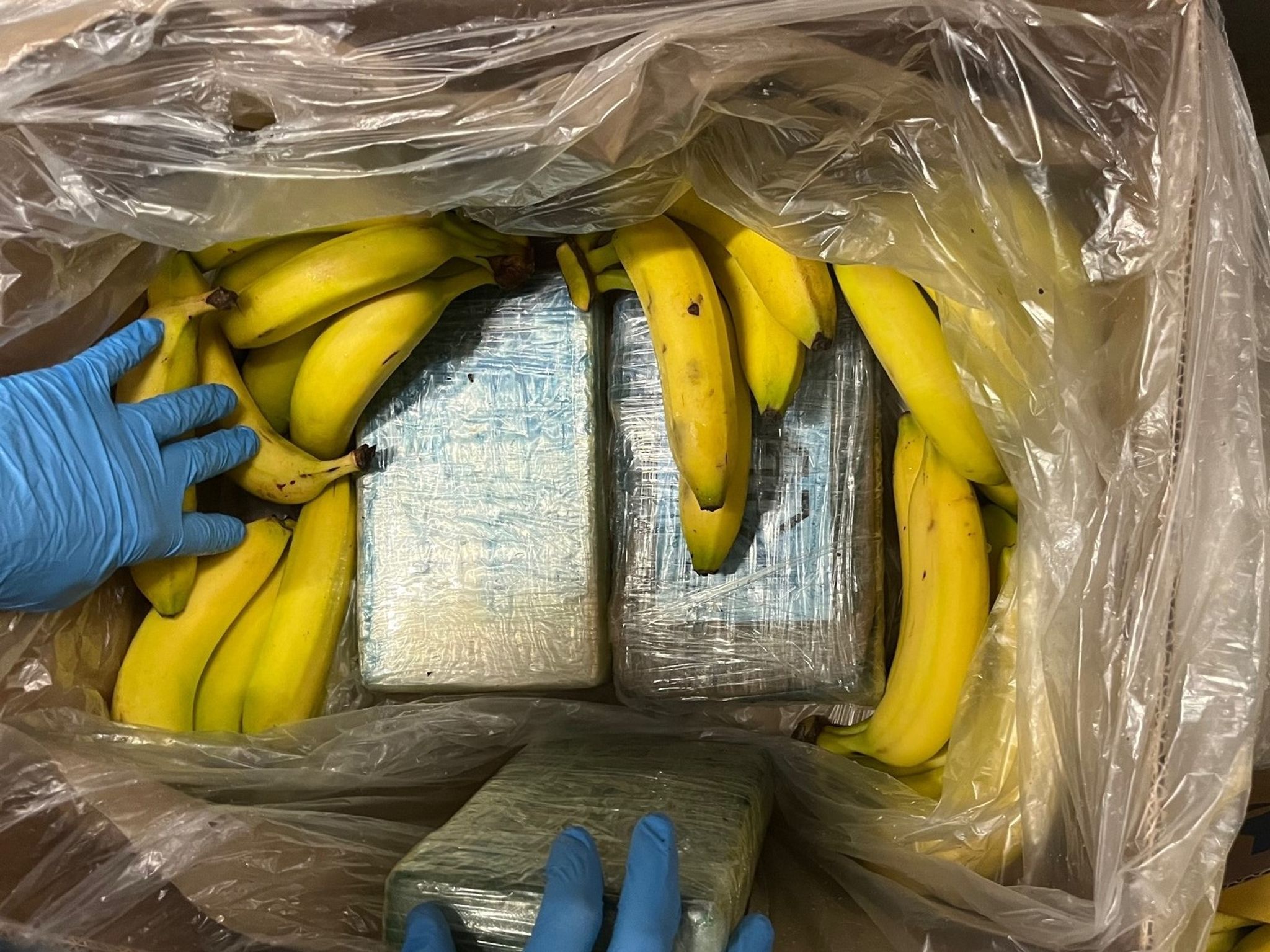 Rauschgift-Alarm in Berlin! Drogen in Bananenkisten in Supermärkten entdeckt