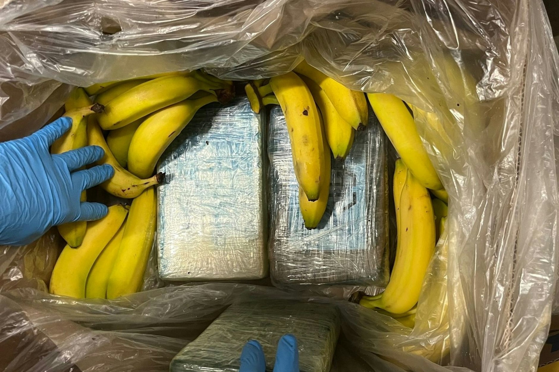 Immer wieder landen Drogen, versteckt in Obstkisten, nicht bei den Dealern sonden in Supermärkten. Aktuell in Berlin und in Brandenburg insgesamt 300 Kilo Kokain (Symbolbild).