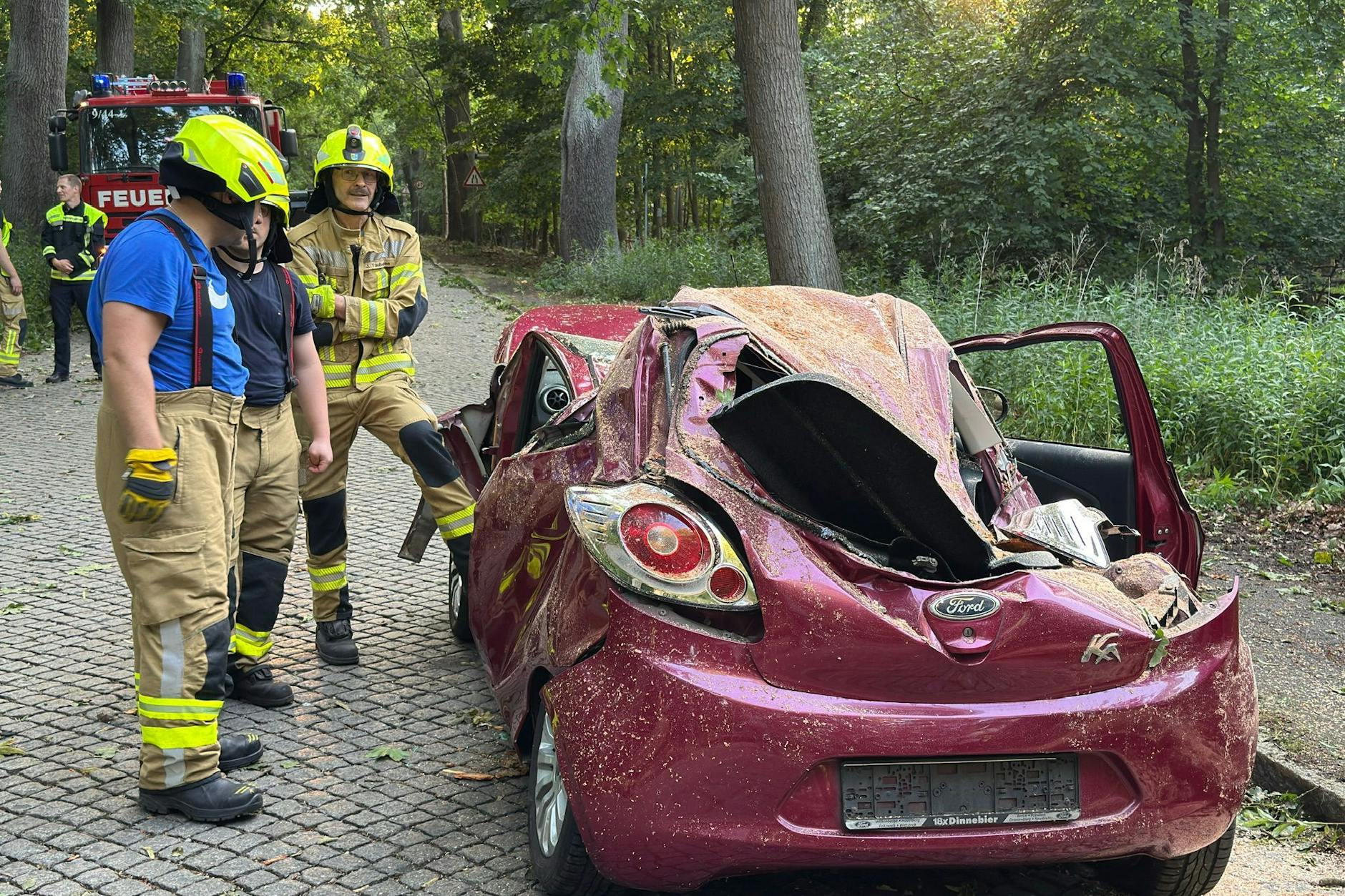 Auf der Schönwalder Allee in Berlin-Spandau wurde eine Frau von einem umstürzenden Baum in ihrem Fahrzeug getötet. Für sie kam jede Hilfe zu spät.
