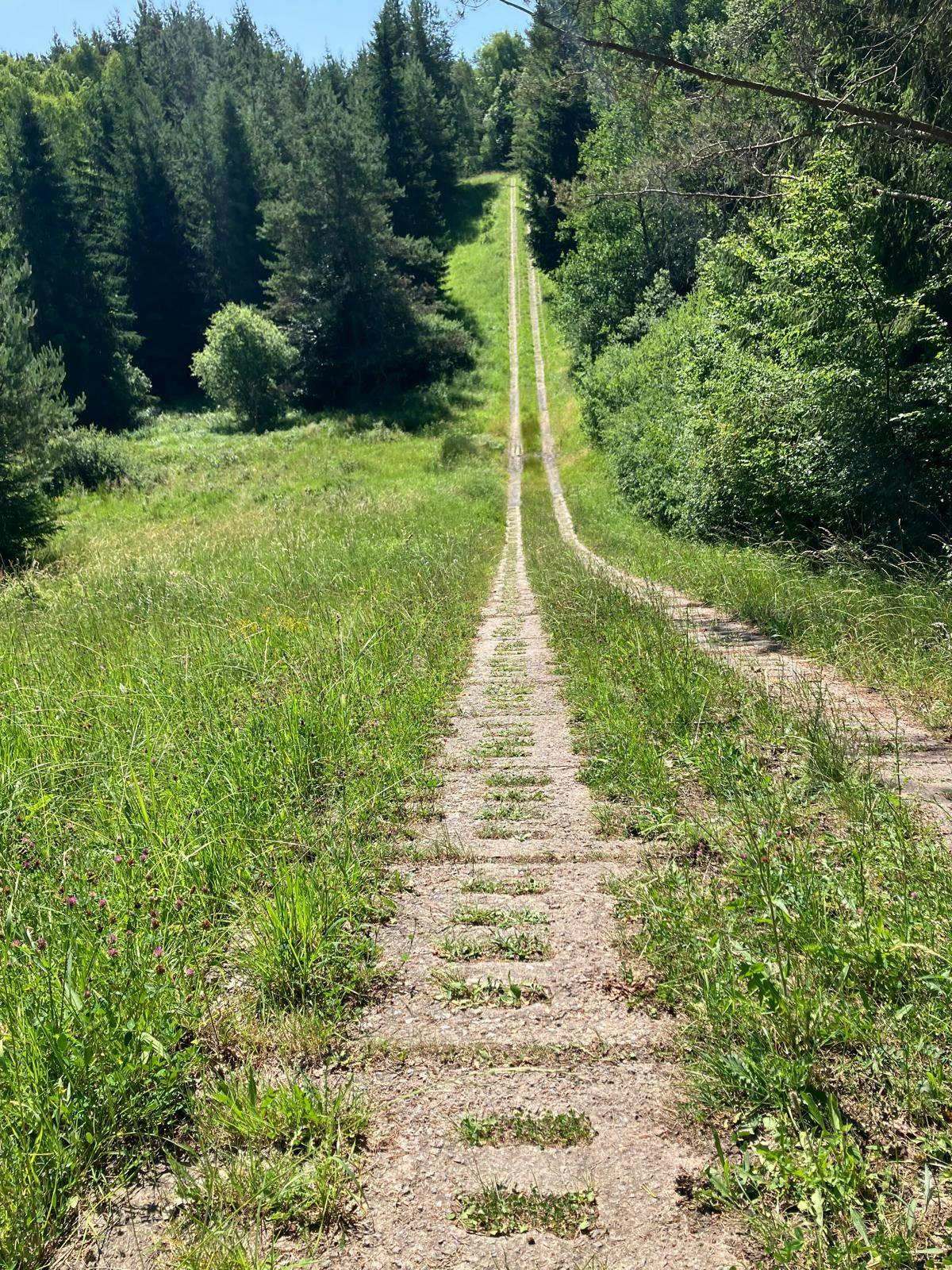 Stone after stone: The patrol path along the border. Nature is reclaiming the former death strip.