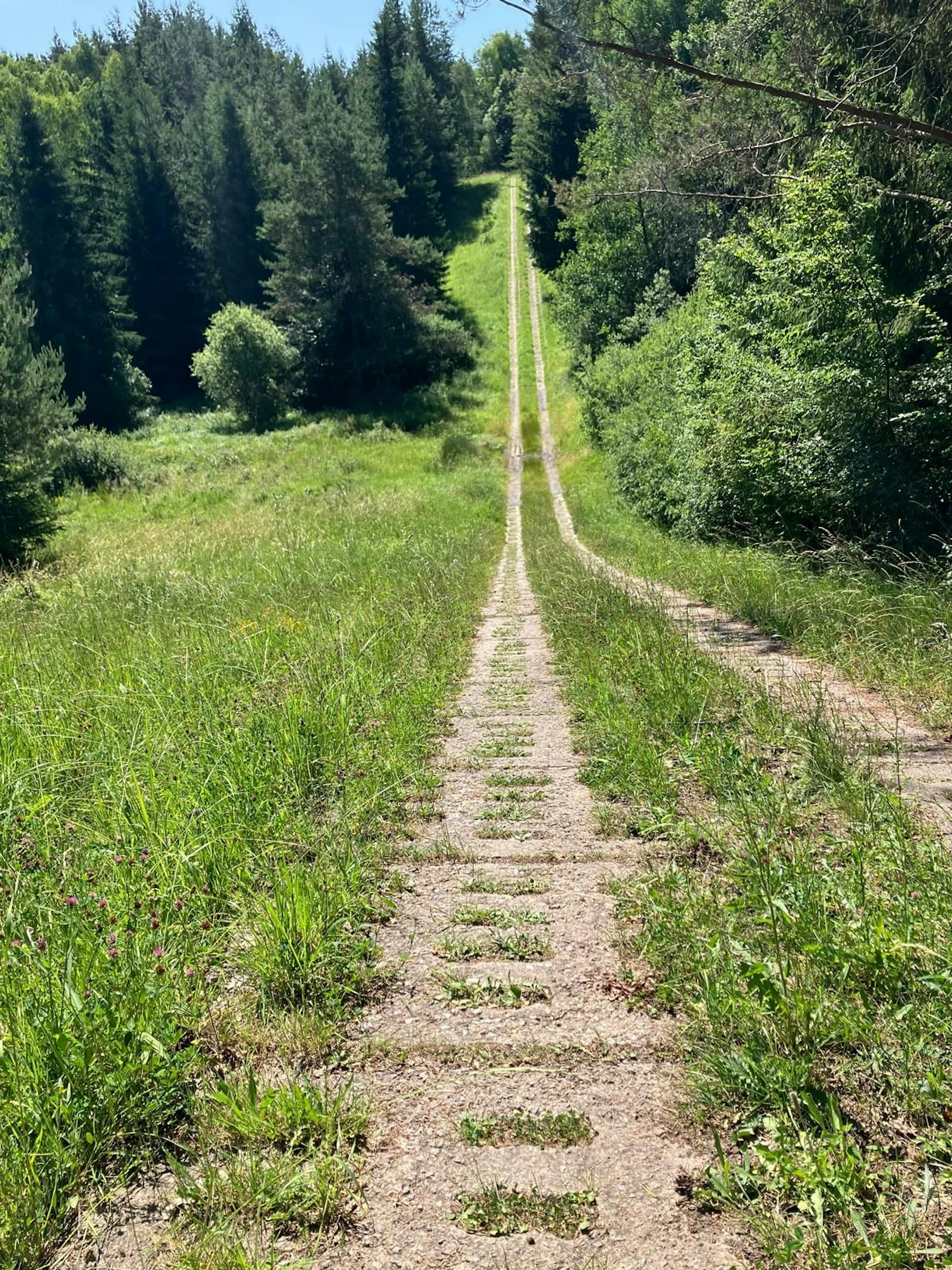 Stone after stone: The patrol path along the border. Nature is reclaiming the former death strip.