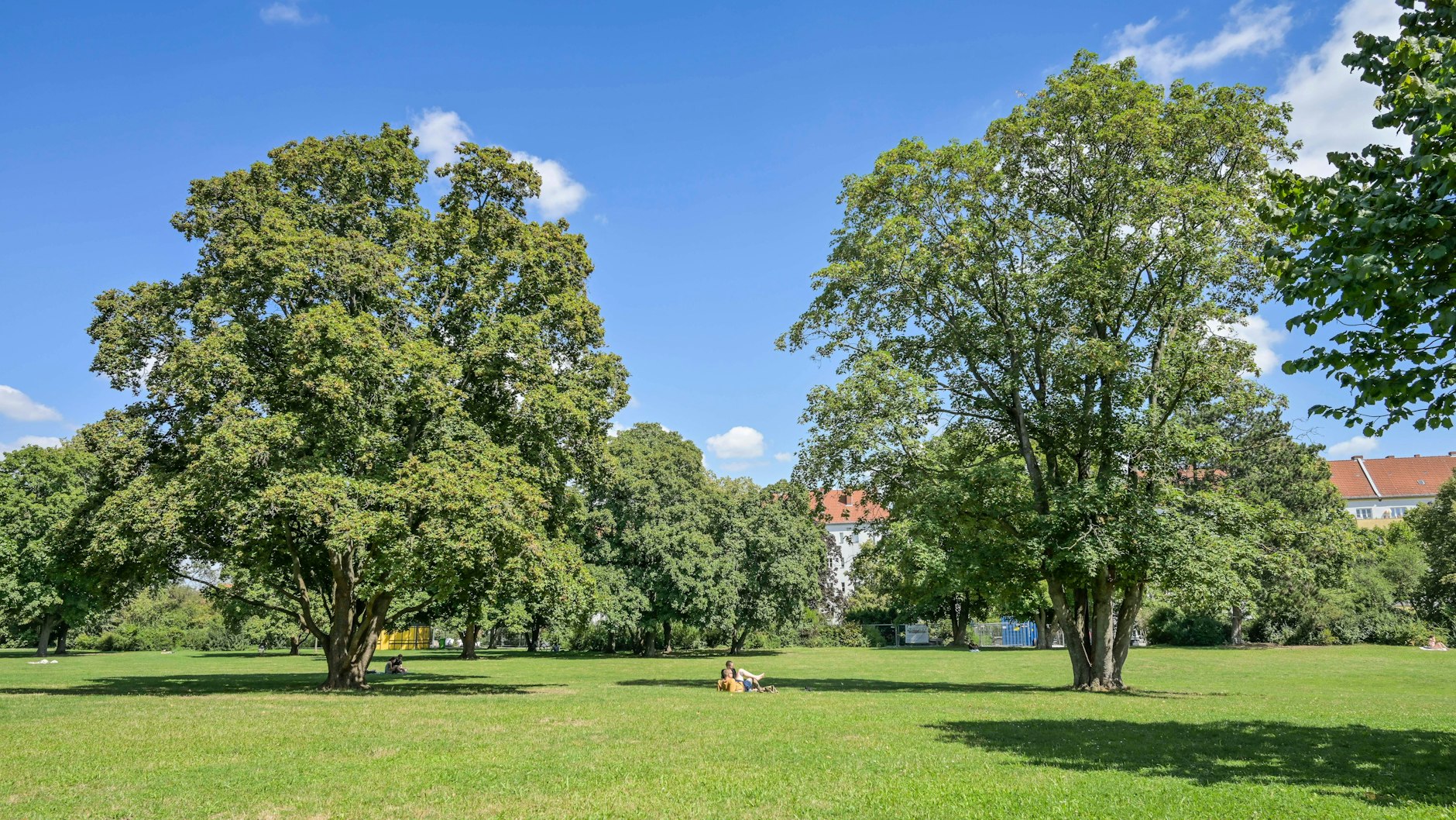 Im Park auf der Lessinghöhe kam es schon vor Tagen zu dem furchtbaren Vorfall. Ein kleiner Junge (3) stürzte hier in eine Junkie-Spritze.