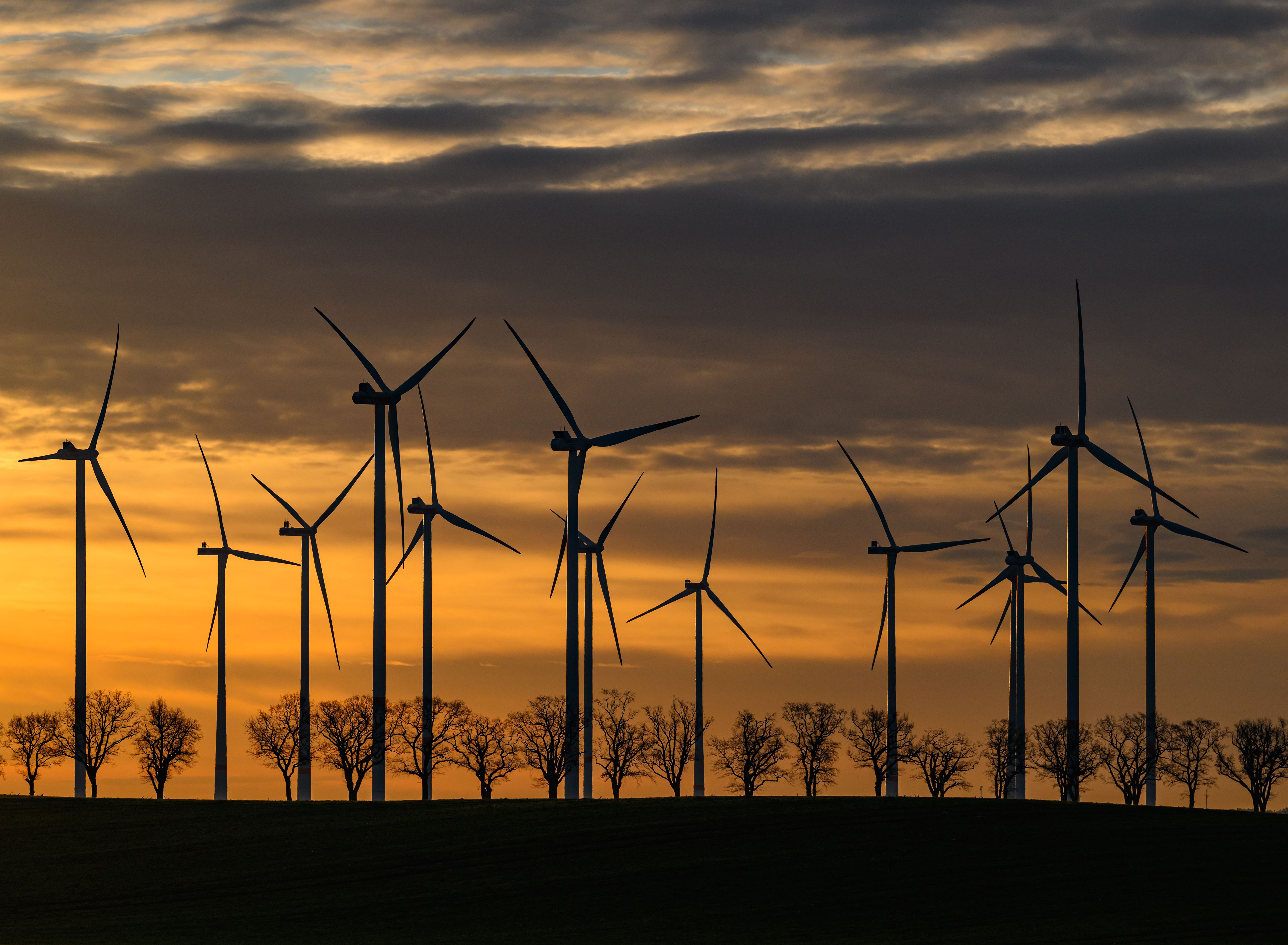 Image - Nachhaltigkeit bei ETFs: So erleichtert die EU jetzt die Orientierung am Aktienmarkt