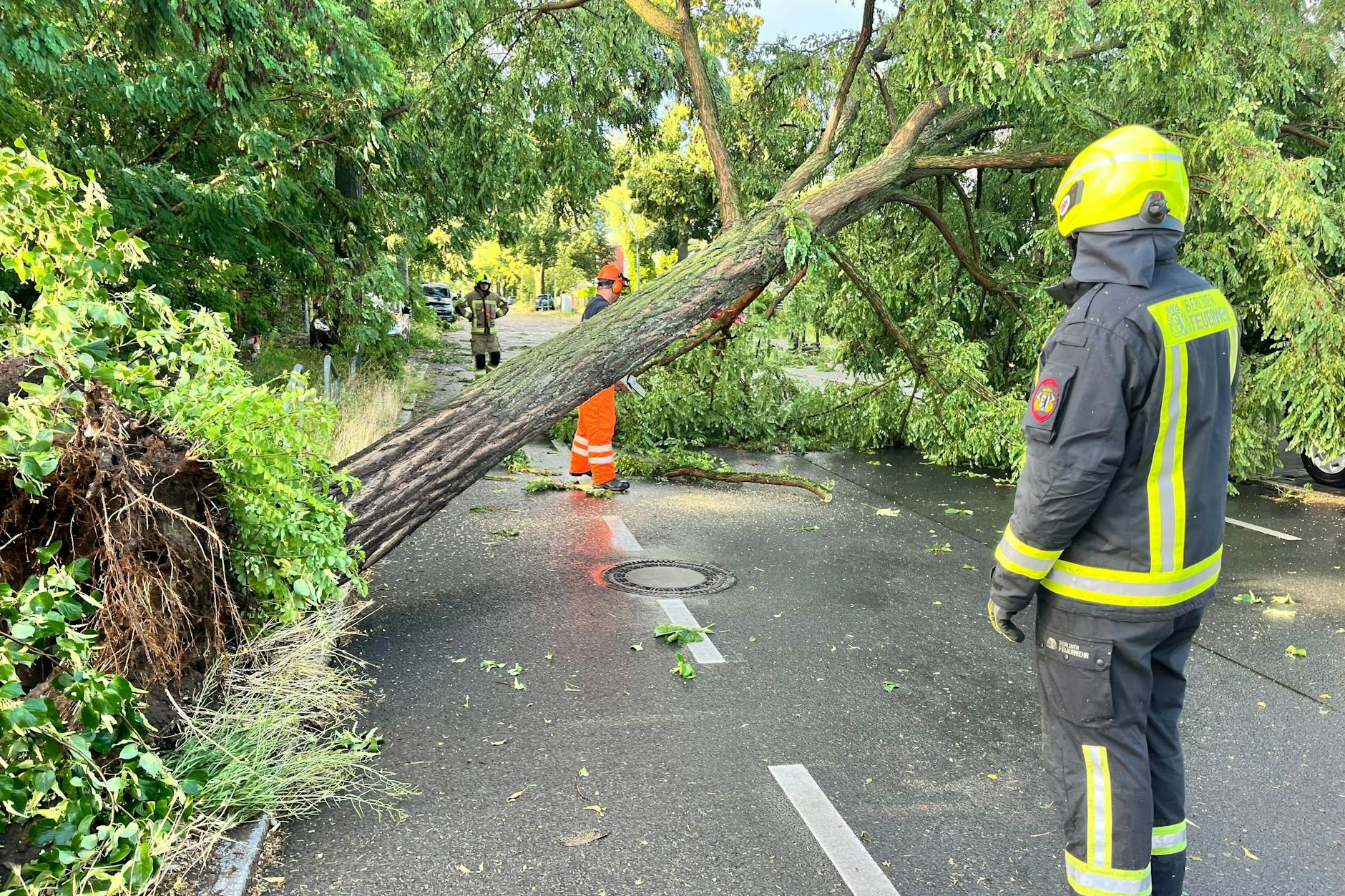 Auch am Donnerstagabend wurden in Berlin wieder Bäume entwurzelt, als das Unwetter über die Stadt hinwegfegte. Dieses Mal wurden aber Stand jetzt keine Menschen verletzt.