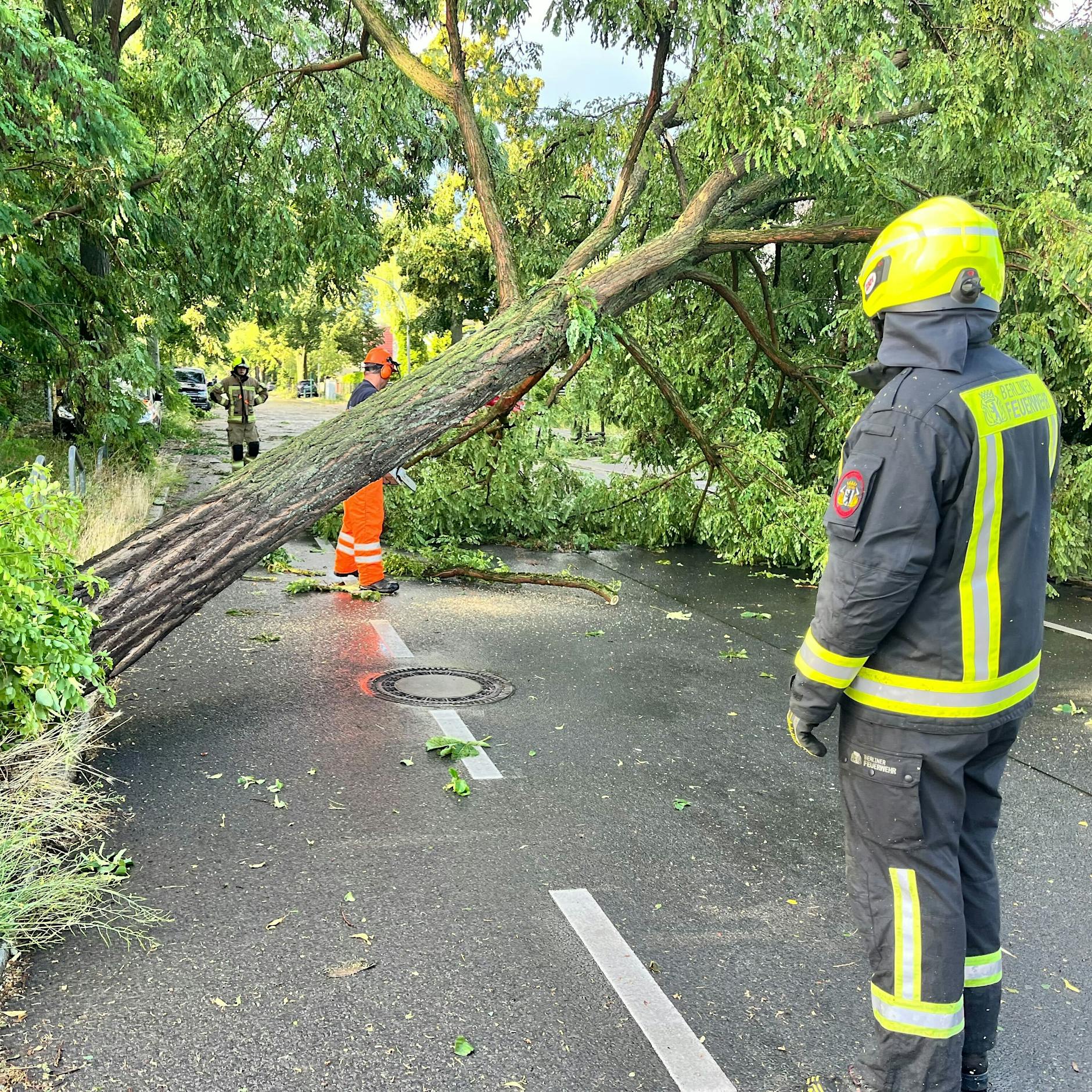 Unwetter in Berlin: S-Bahn-Verkehr eingestellt! Polizei zieht erste Bilanz