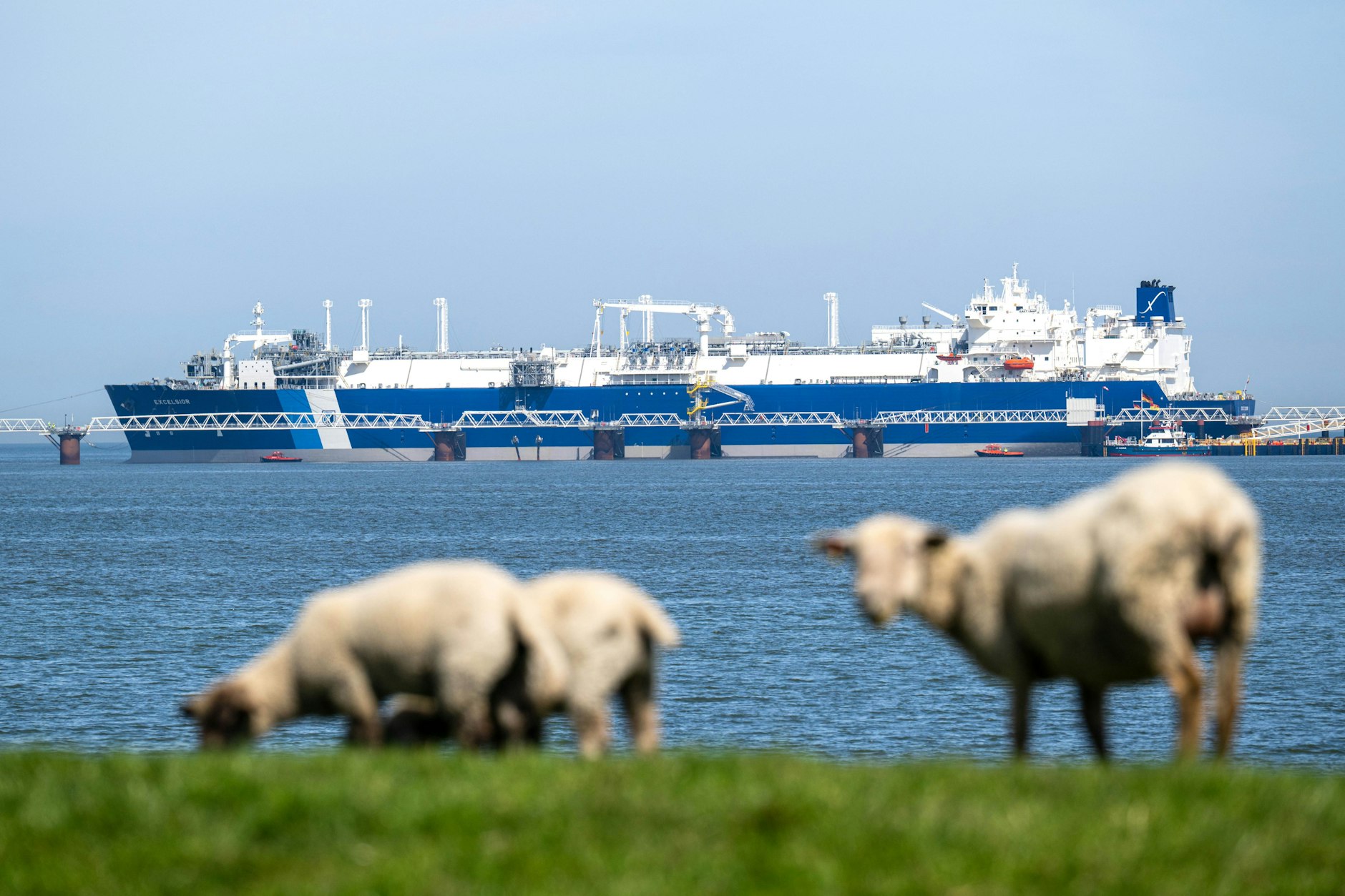Niedersachsen, Wilhelmshaven: Das Spezialschiff „Excelsior“ kommt am neu gebauten Anleger in der Jade an. Symbolbild.