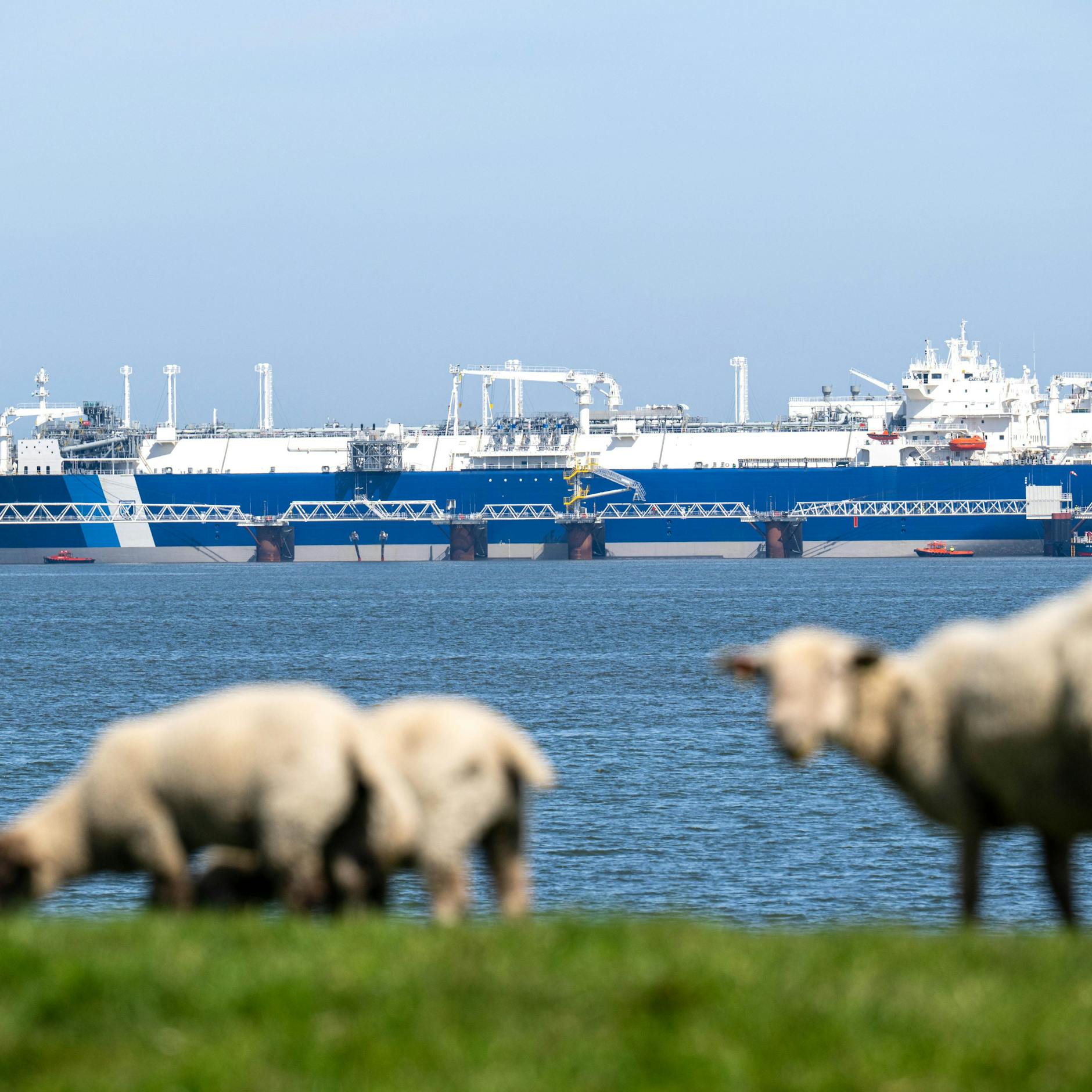 Image - Milliarden für LNG-Terminals: Profitieren Deutschlands Nachbarn jetzt mehr?