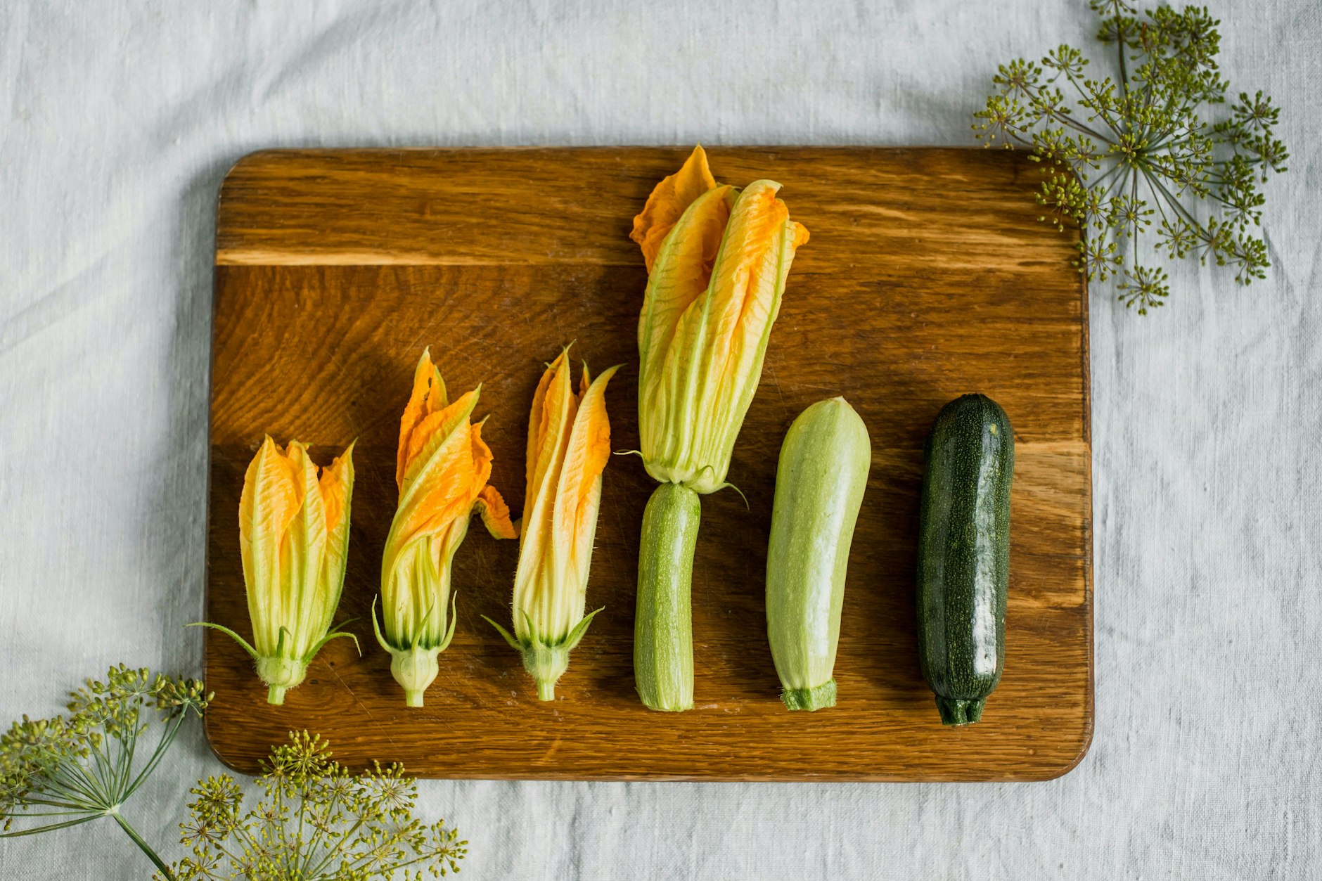 Zucchini - das perfekte Gemüse für leichte Sommerküche.