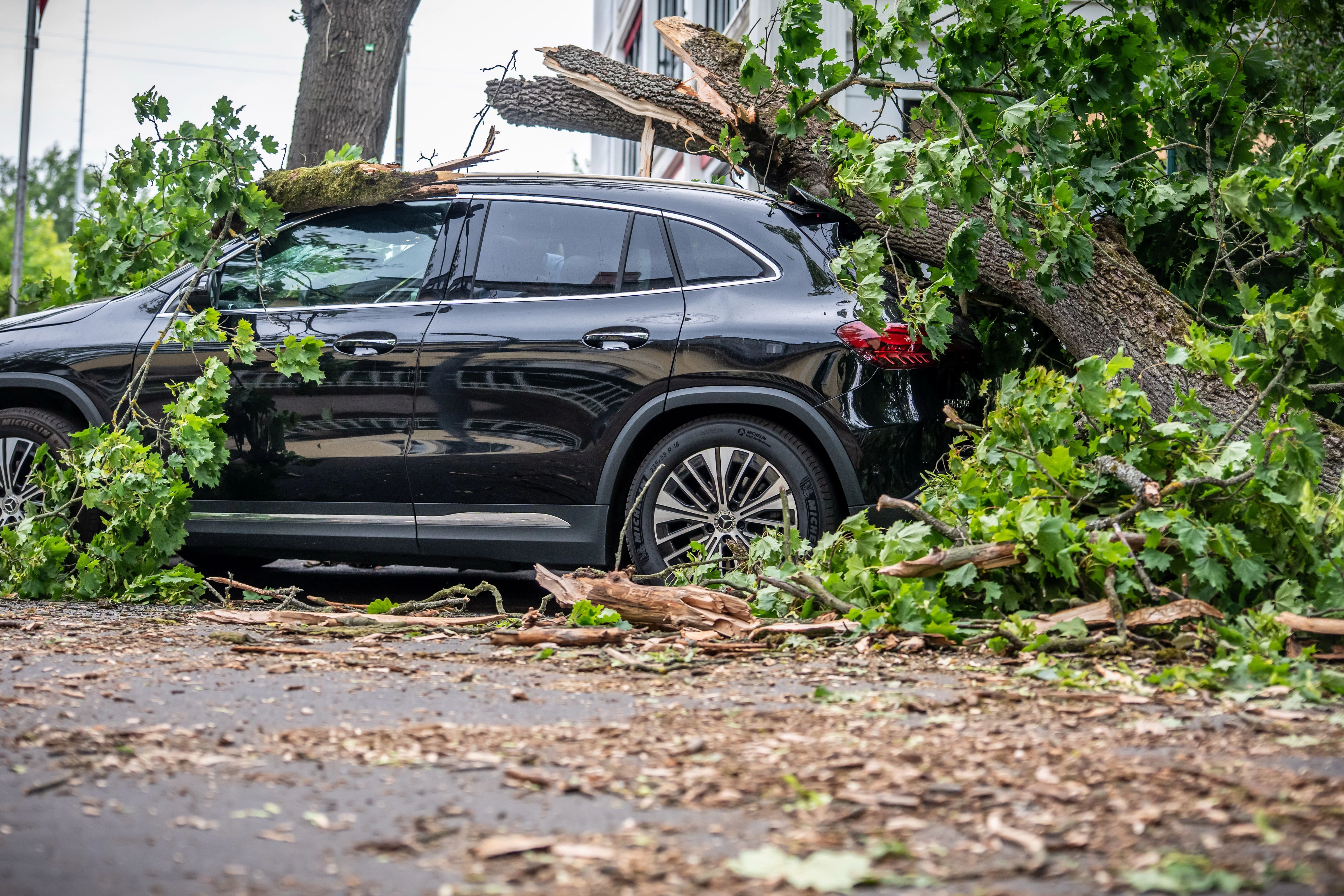Ein vom Sturm abgebrochener Baum liegt auf einem Auto in der Trabener Straße im Westen von Berlin.