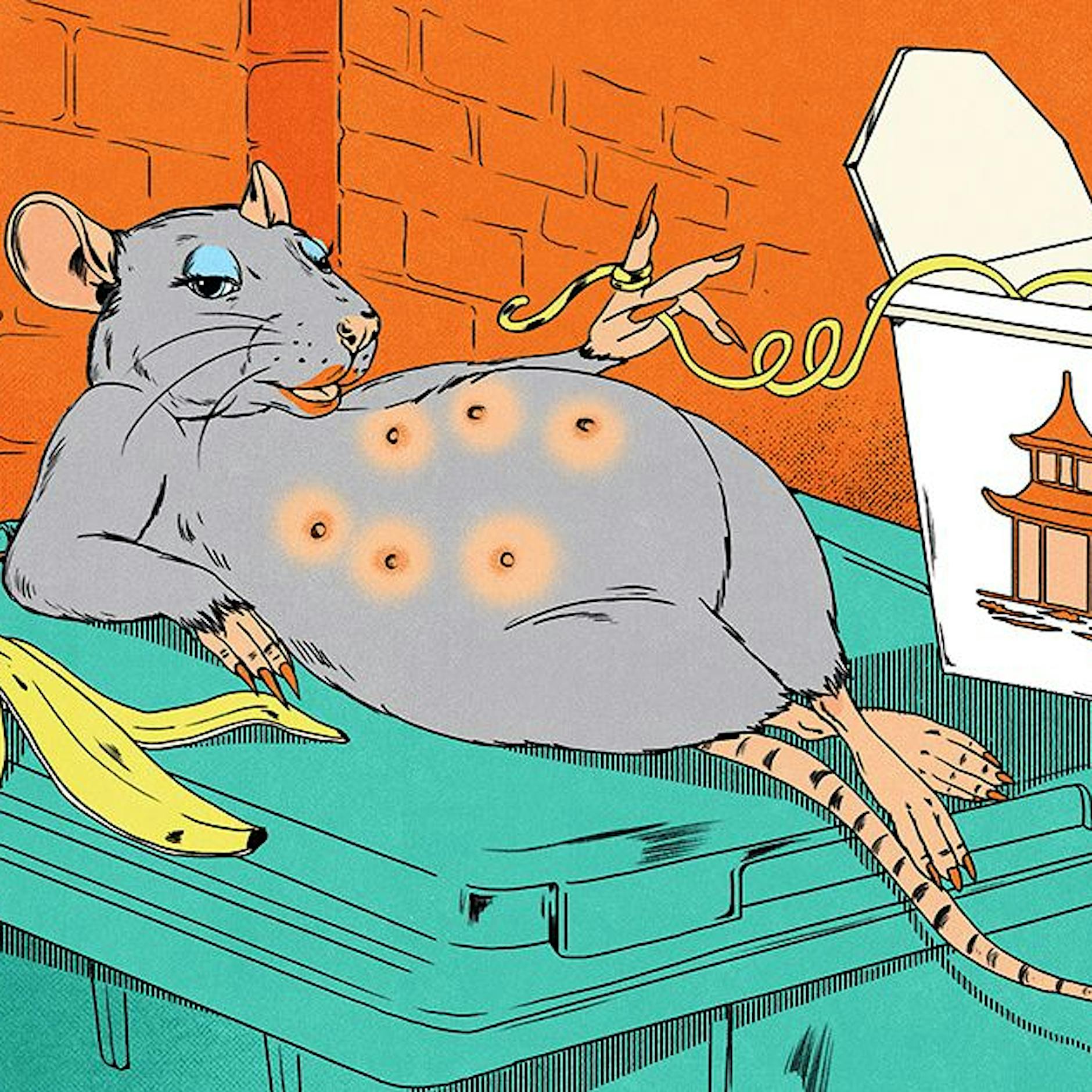 Berliner Biester: Wie es ist, eine Ratte in dieser Stadt zu sein