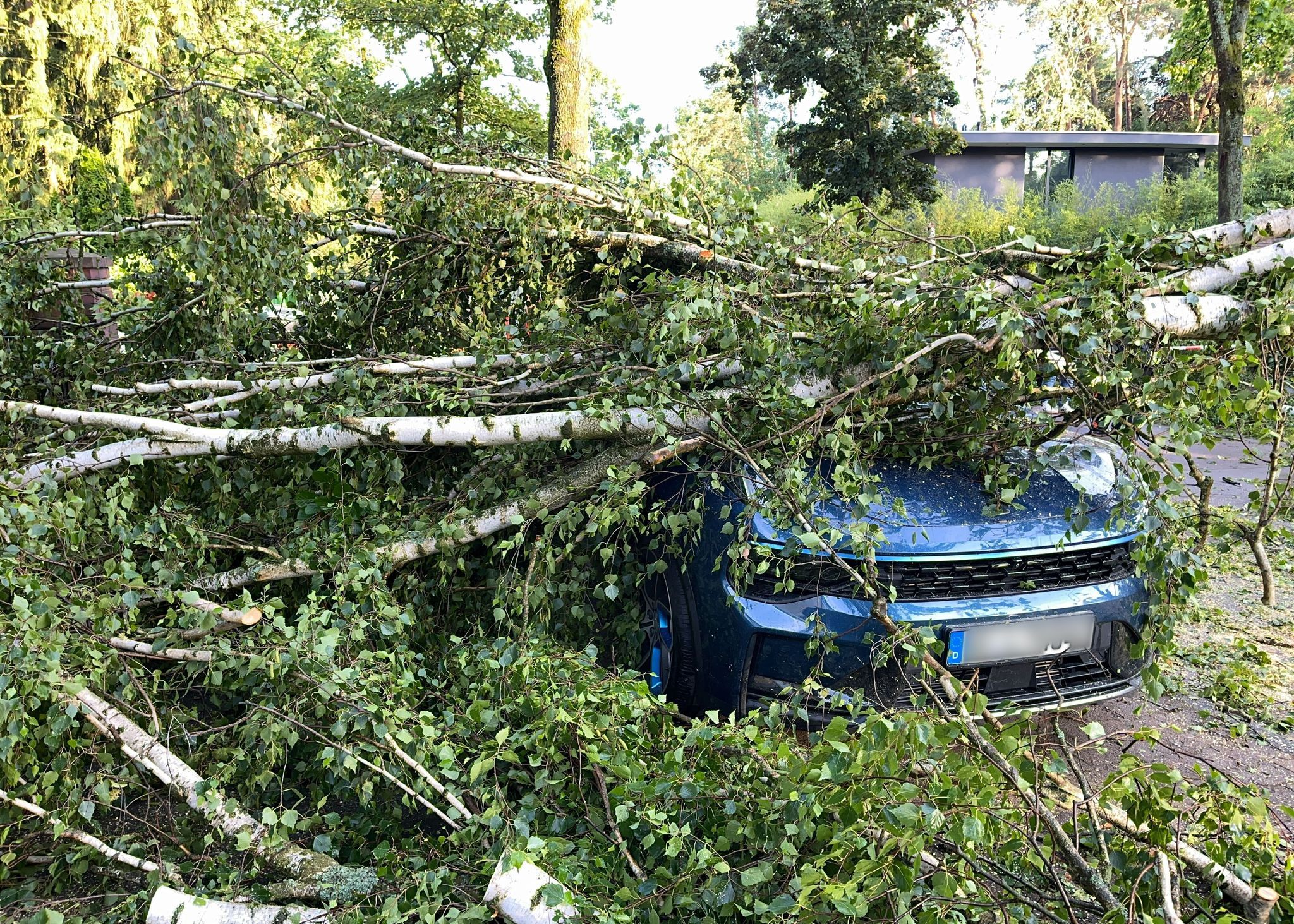 S-Bahnchaos bei Unwetter: „Ich traue es mich kaum zu sagen und es tut mir unfassbar leid“
