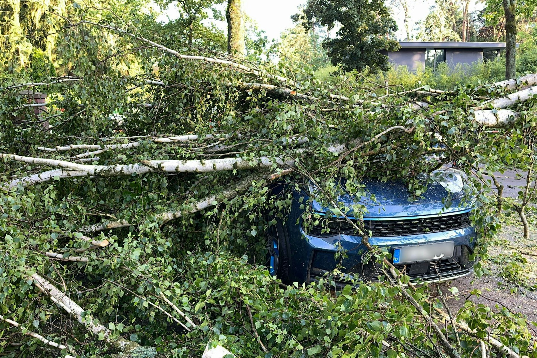 Die Feuerwehr musste wegen des Unwetters in Berlin zu mehr als 750 Einsätzen fahren.