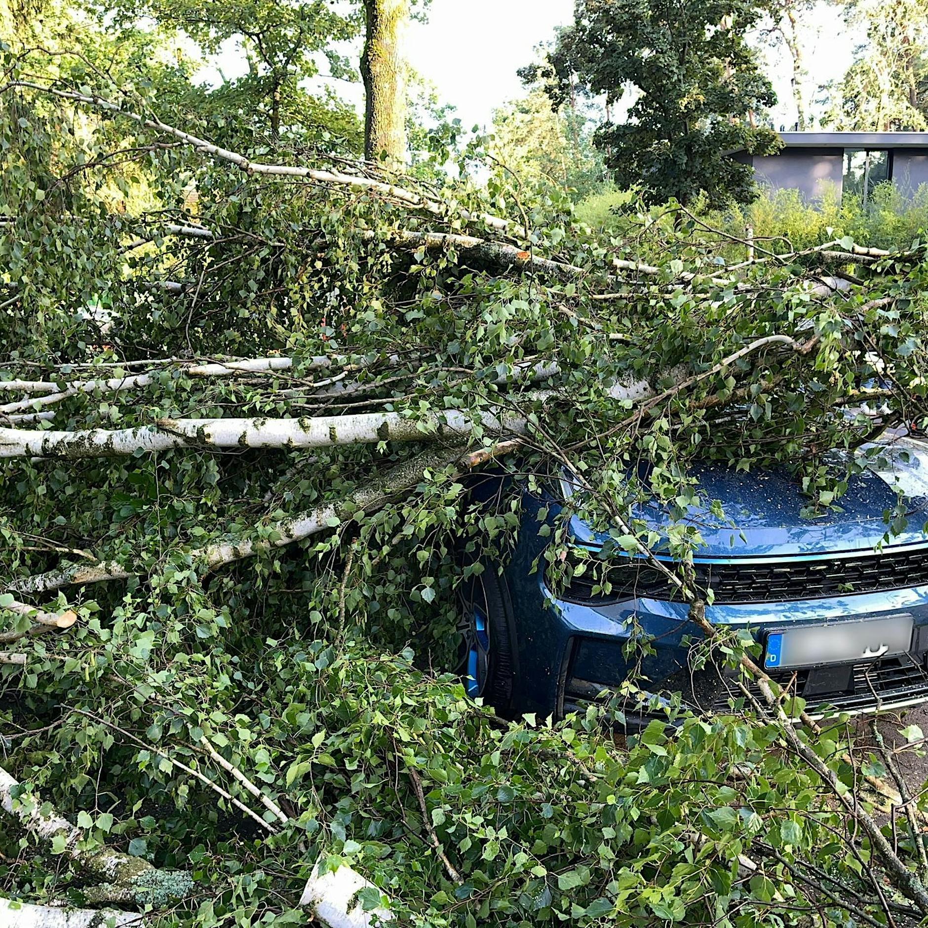 S-Bahnchaos bei Unwetter: „Ich traue es mich kaum zu sagen und es tut mir unfassbar leid“