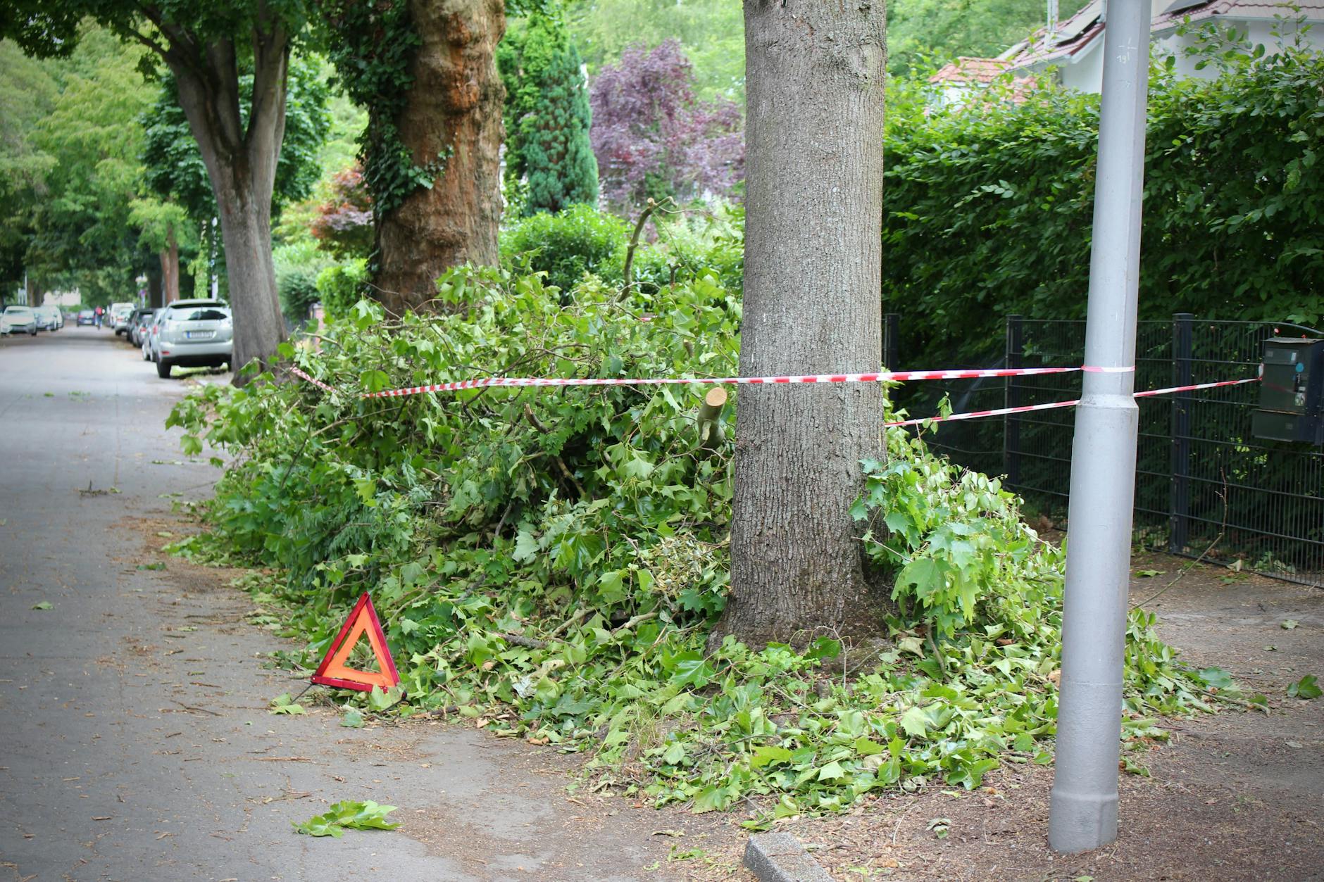 Gabrielenstraße, Reinickendorf: Nach dem gestrigen Sturm musste hier ordentlich aufgeräumt werden – Äste, Laub und Trümmer überall.