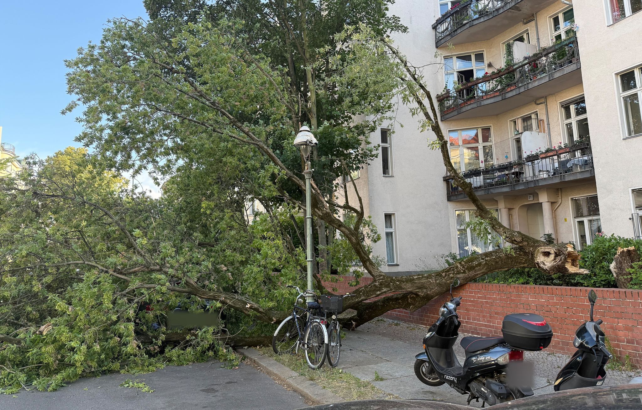 „Lebensgefahr“ in Berlin: Darauf müssen Sie nach dem Sturm achten