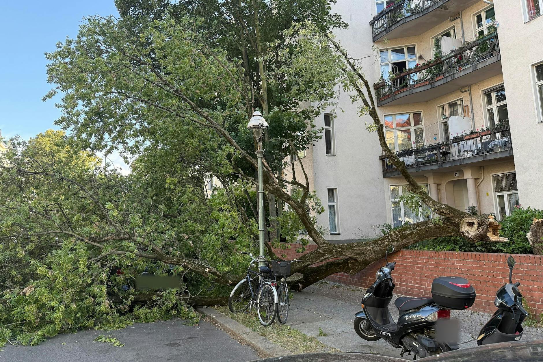 Das Unwetter in Berlin hat Äste abgebrochen und Bäume umgestürzt.