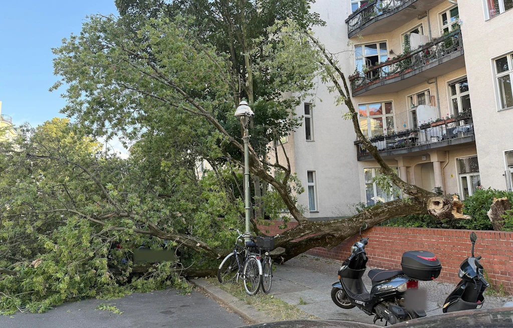 „Lebensgefahr“ in Berlin: Darauf müssen Sie nach dem Sturm achten