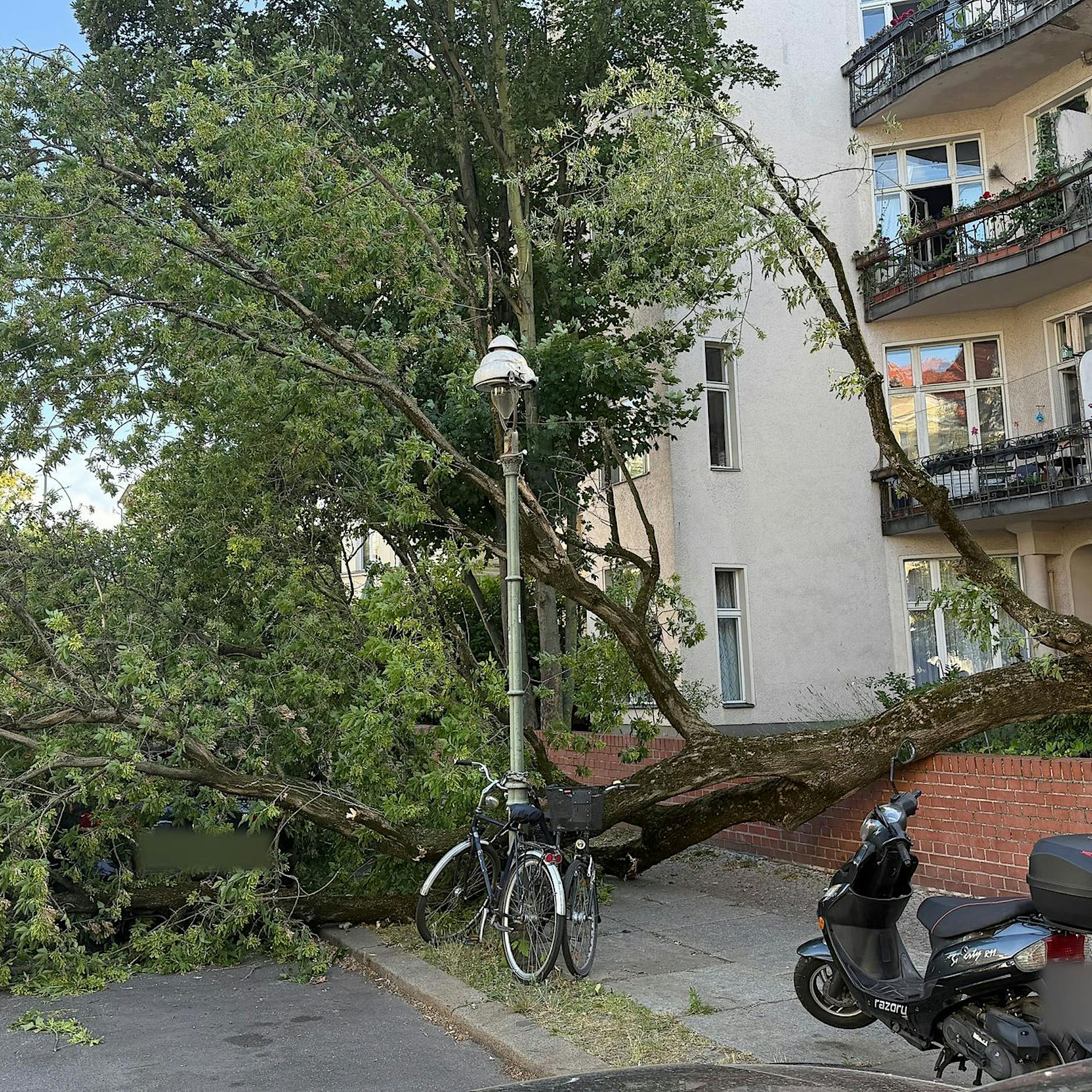 „Lebensgefahr“ in Berlin: Darauf müssen Sie nach dem Sturm achten